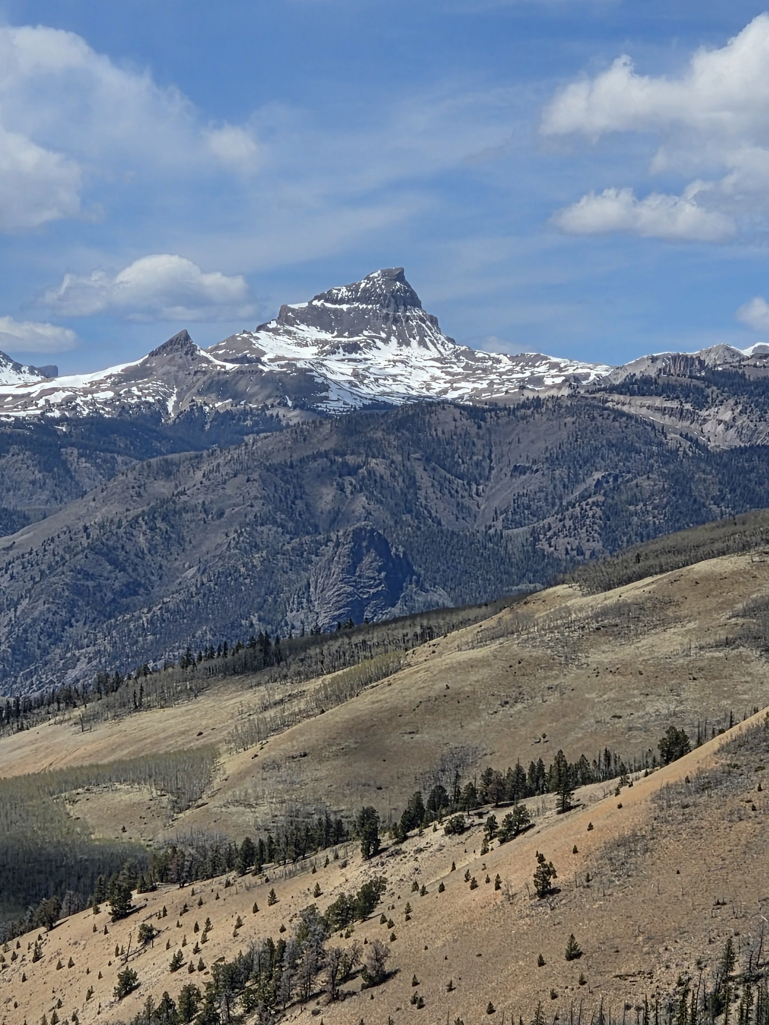 Mountain landscape with a snow-capped peak under a partly cloudy sky, surrounded by forested slopes and grassy hills.
