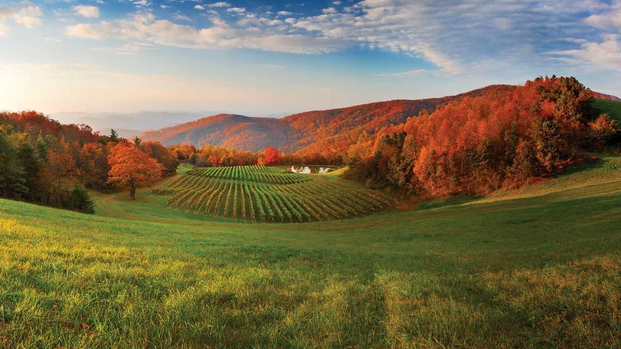 winery_01.jpg