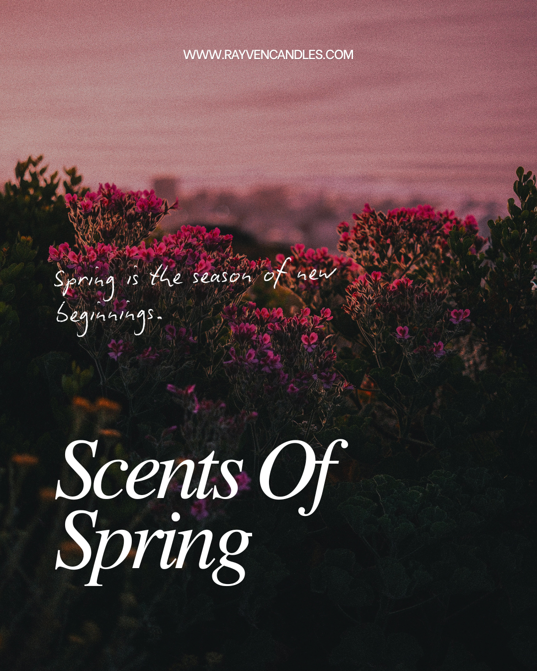 Rayven & Co. Candles Spring Campaign - 2026