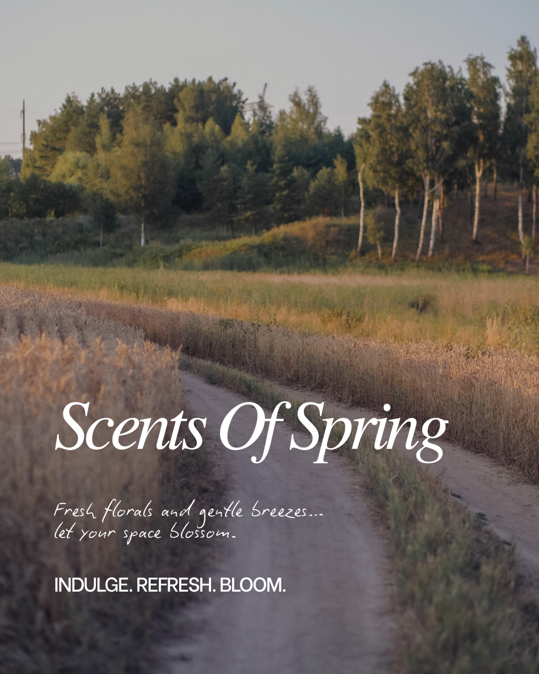 Rayven & Co. Candles Spring Campaign - 2026