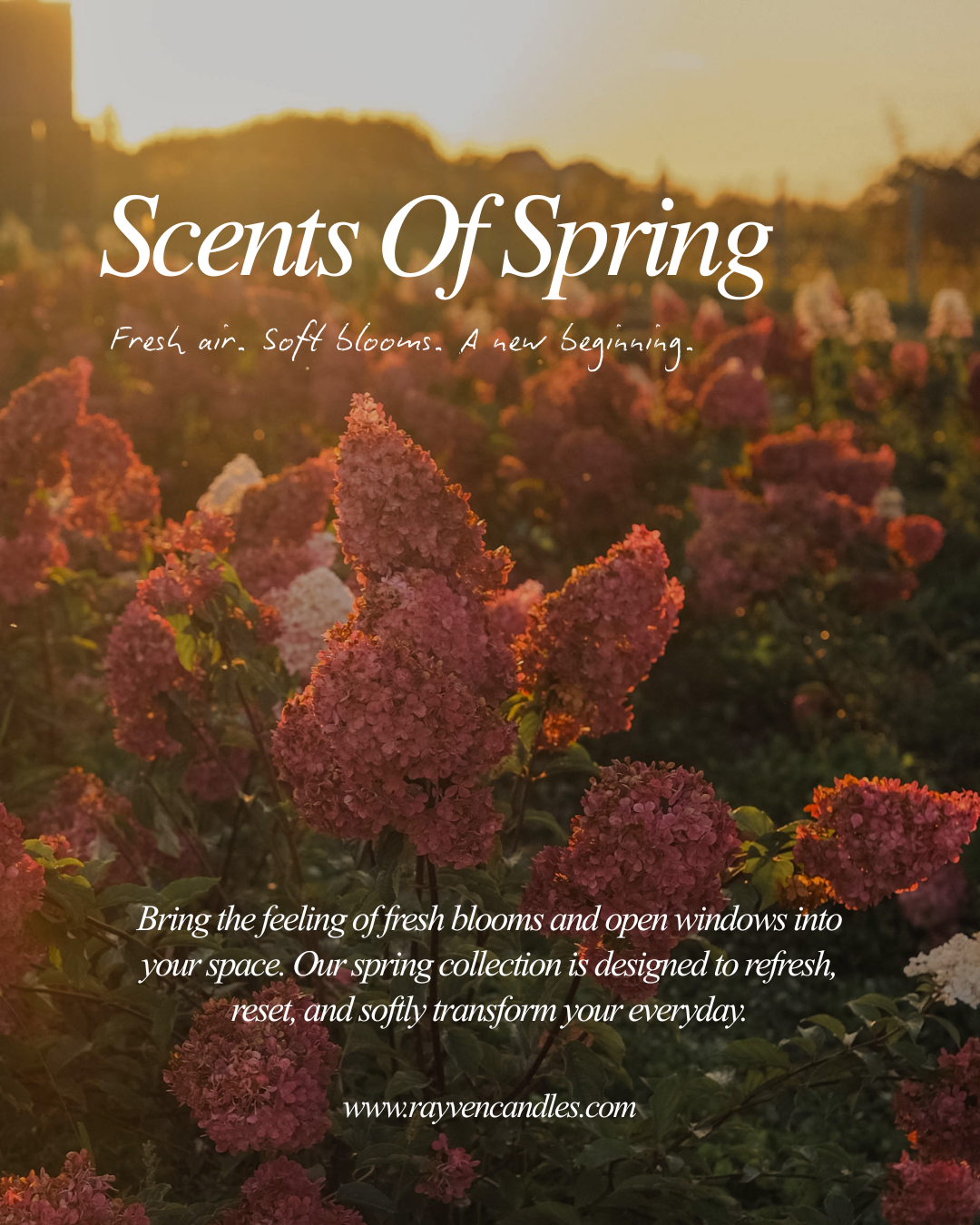 Rayven & Co. Candles Spring Campaign - 2026