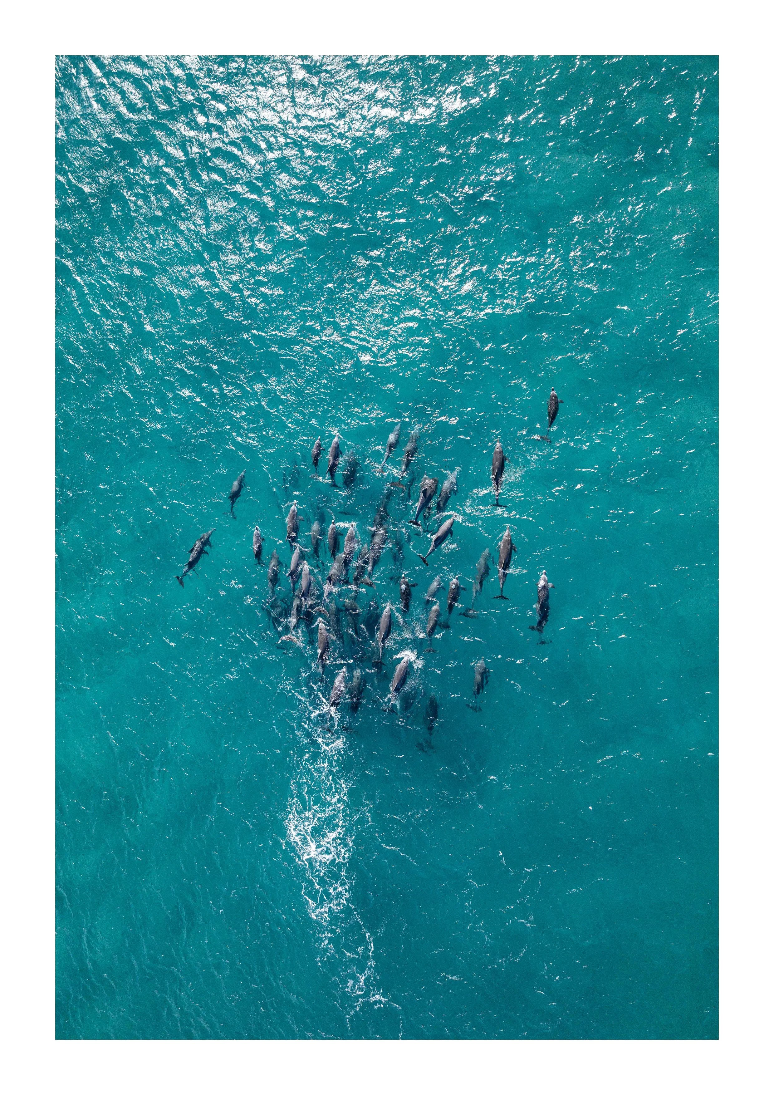 DJI_0634-Enhanced-SR copy 2.jpg