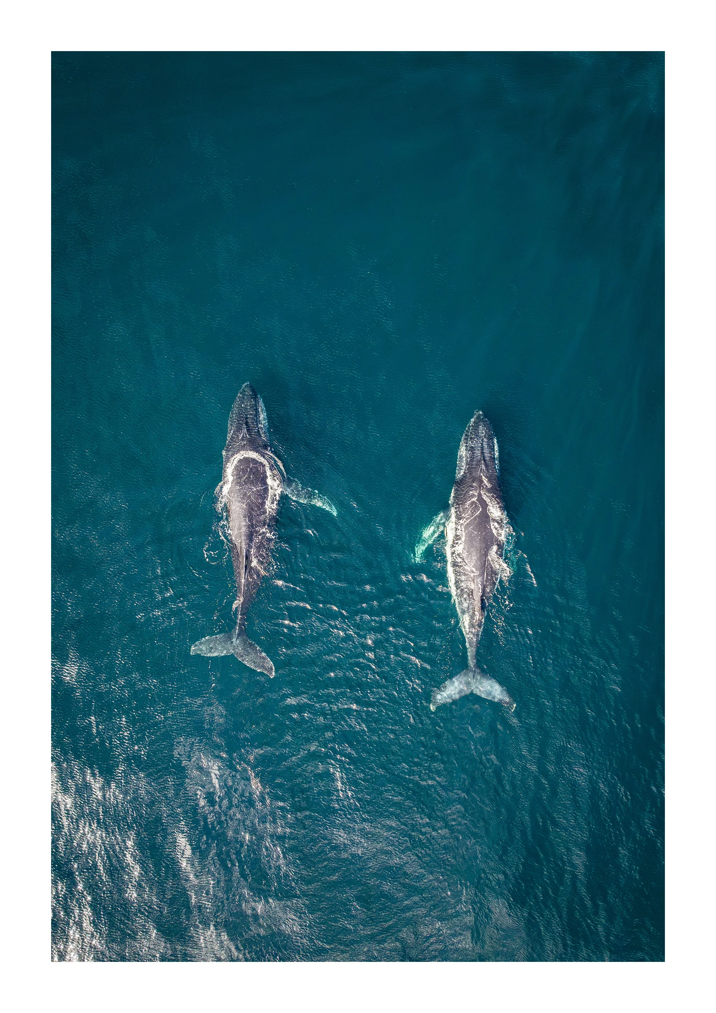DJI_20240907094017_0093_D-Enhanced-NR copy 2.jpg