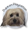 Pups on Playcation