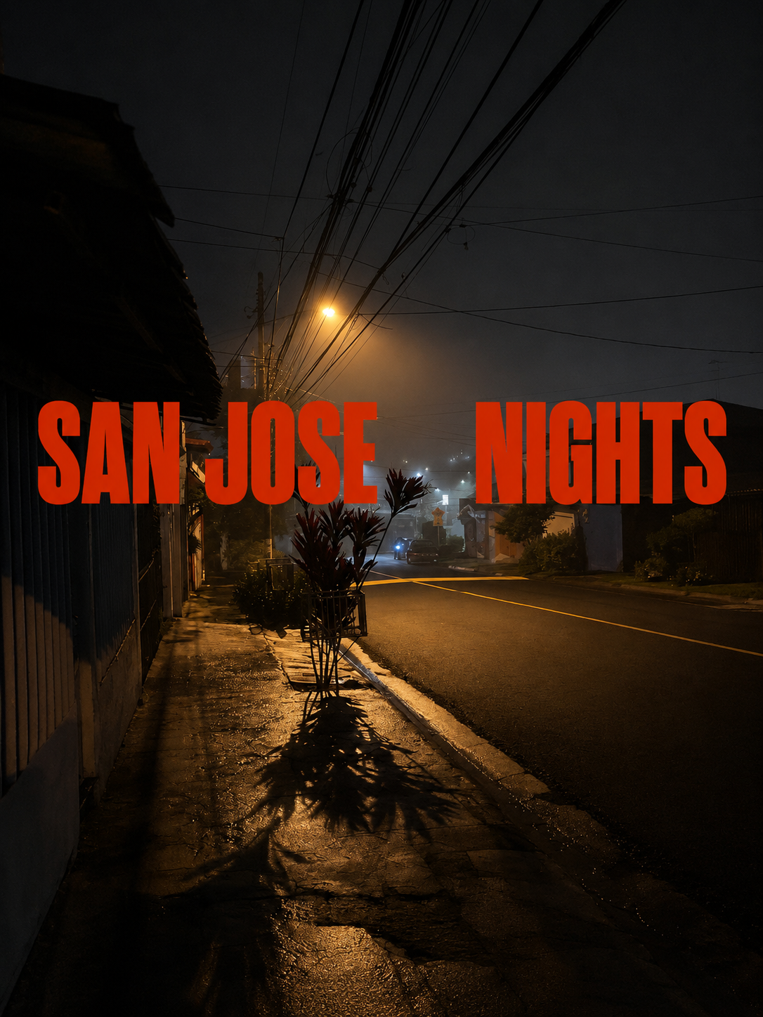san jose nights 2.png