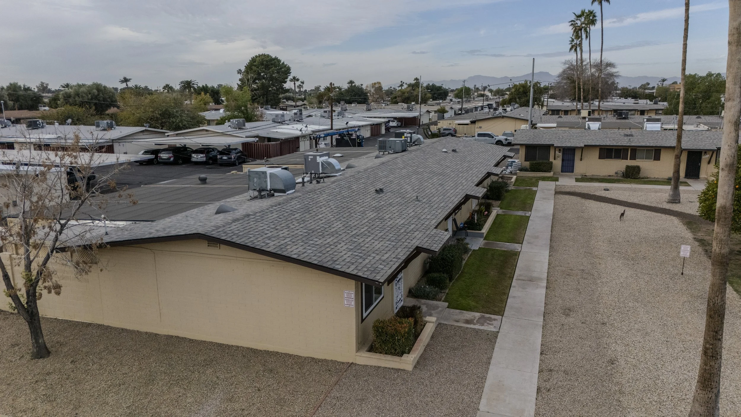 Residential area with single-story houses, some with solar panels on the roofs, palm trees, a parking lot, and mountain range in the background on a cloudy day.