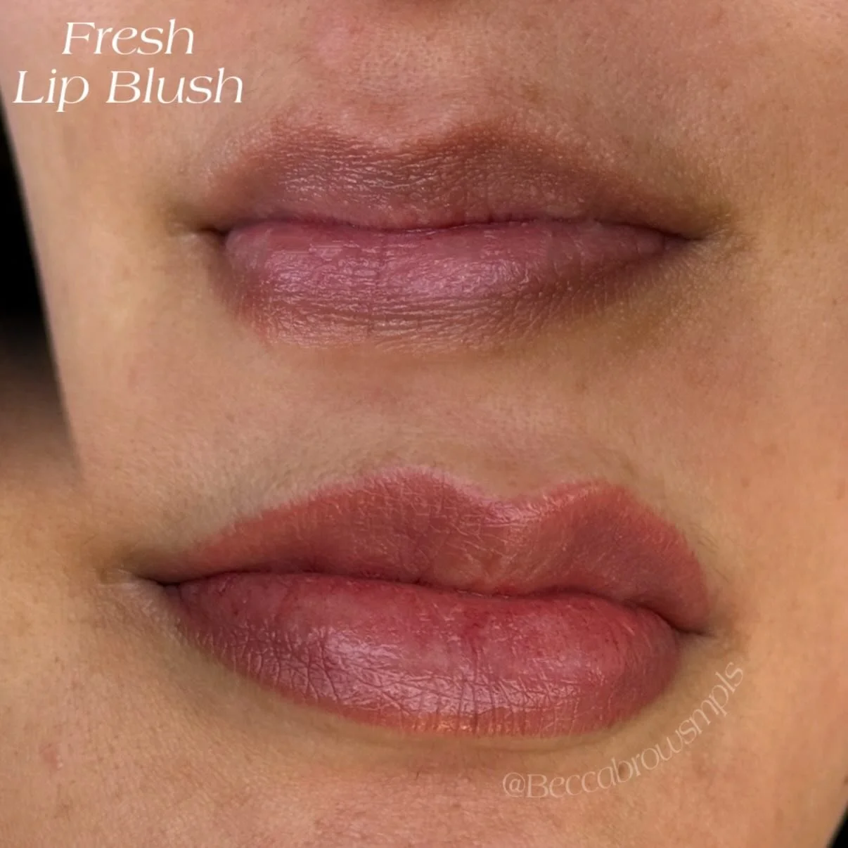 Fresh Lip Blush💋
Done by @beccabrowsmpls 

She has such a beautiful lip shape, I loved doing these!

Colors used: @mara.colors 
Half cap of baby lips with 3 drops of she&rsquo;s hot
For darker areas
Brownie pink for center
.30 1RL from @kwadron_pmu 