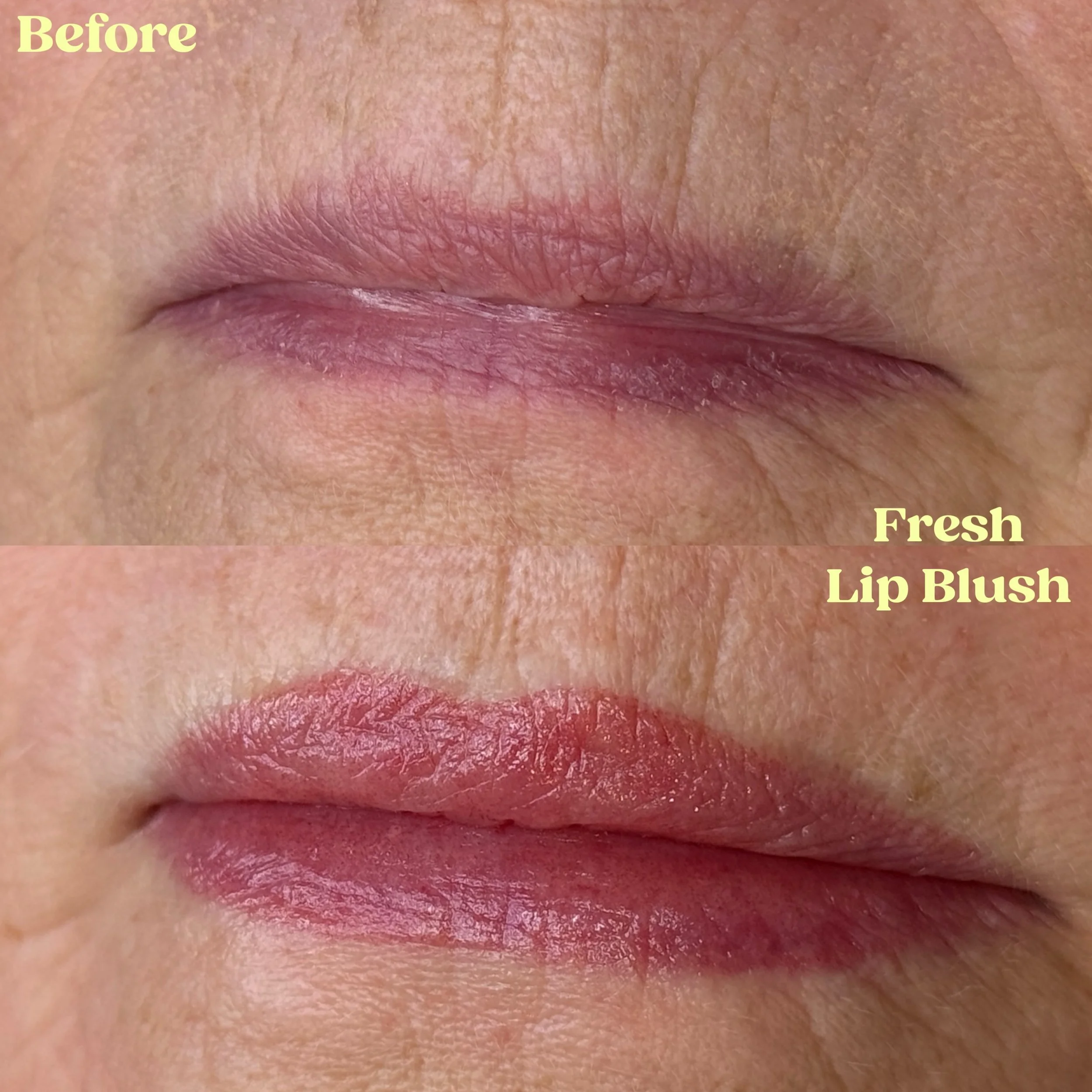 Fresh Lip Blush✨

Excited to see these back healed
Colors Used: Brownie pink/7 Dark Strawberry /5 Choco Mauve

For all FAQs, pricing, and availability please visit my website at Beccabrows.com
Thank you!!

Minneapolis, mnmom, mnbride, lip blush tatto