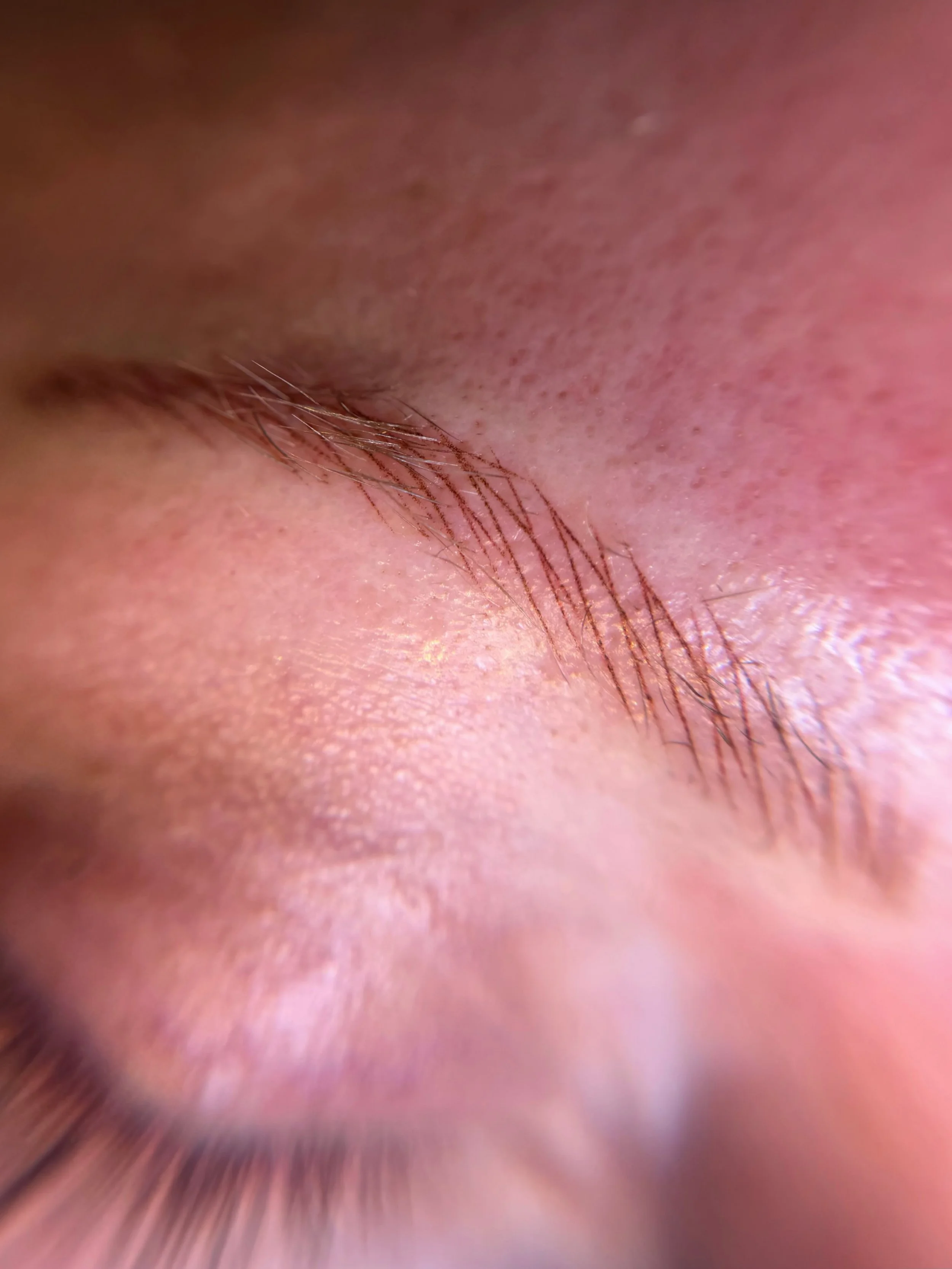 Crispy Nano Details 🙃
.
.
.
#nanobrows #nanoblading #powderbrows #microblading #browspecialist
