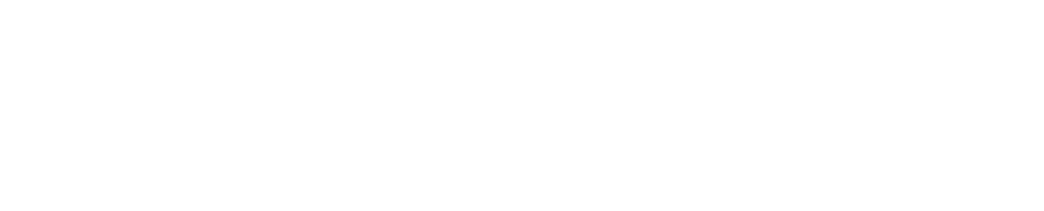 Digital Shepherd Consulting