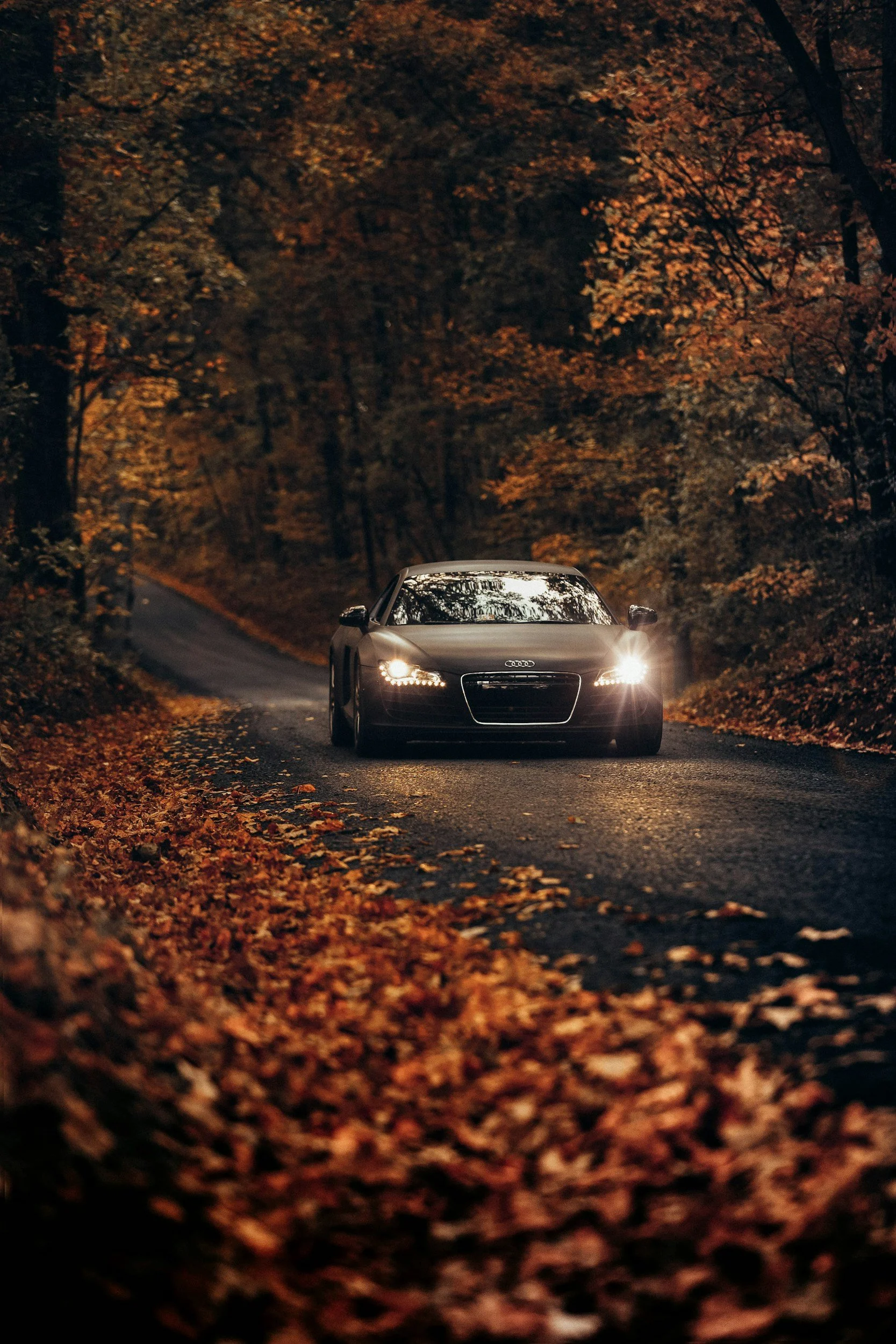 Audi sports car with headlights on driving along a leaf-covered forest road in autumn