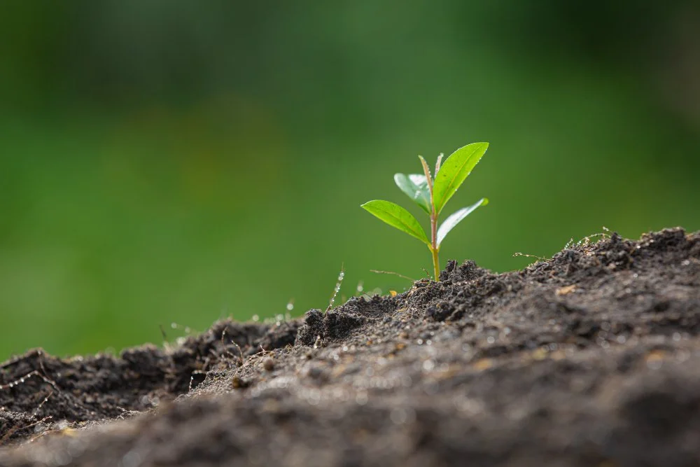 Private equity activity shows potential to grow client fees