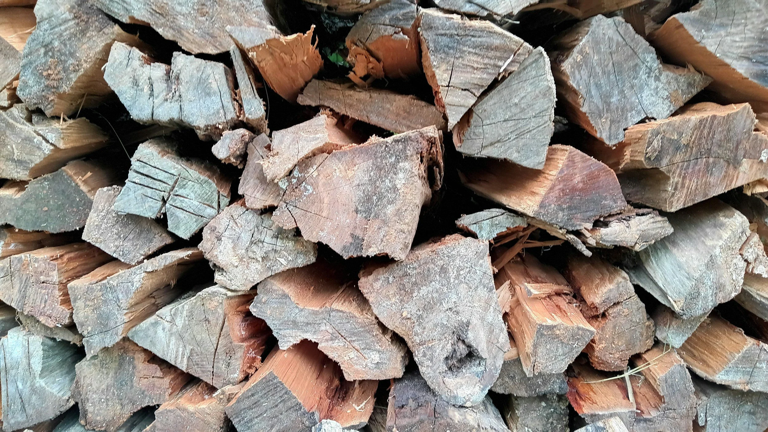 A large stack of firewood logs, cut into various sizes and shapes, with some pieces showing signs of weathering and moss growth.