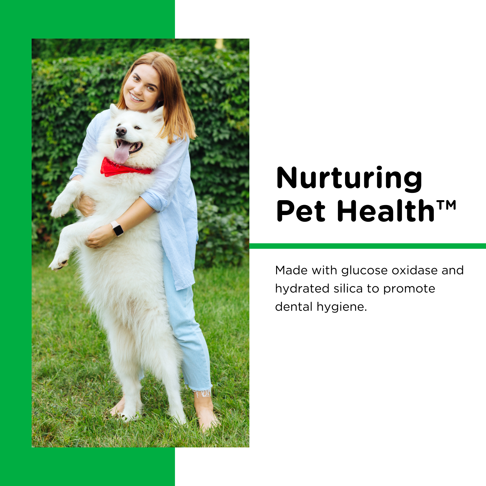 87491_NV_1ct_Dental_Hygiene_Kit_4.png