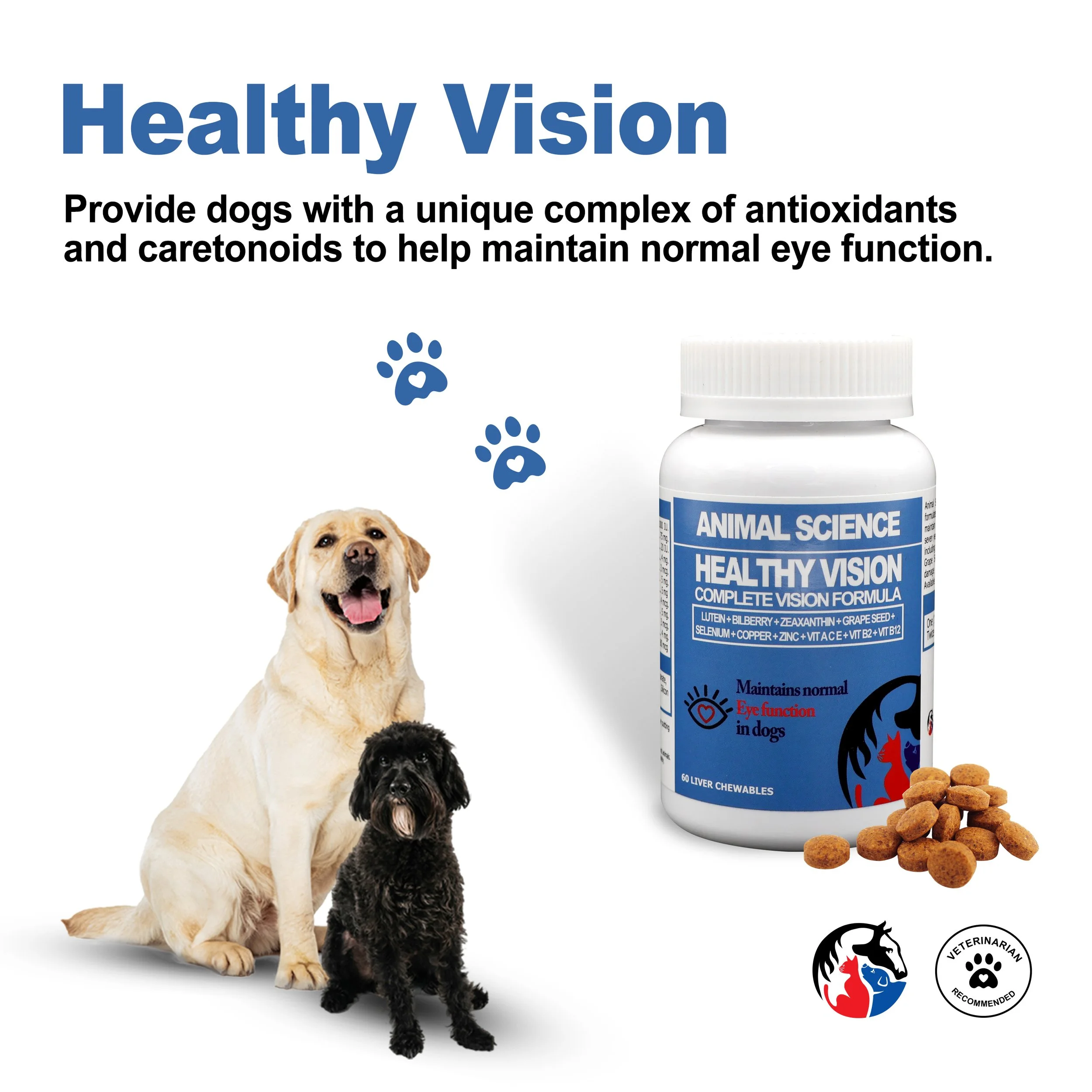 HEALTHY VISION 3.jpg