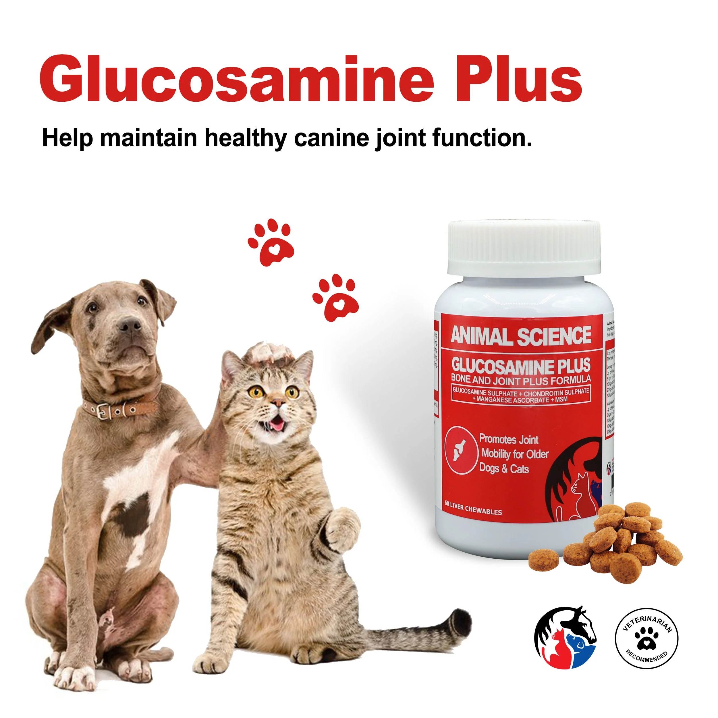 GLUCOSAMINE PLUS 3.jpg