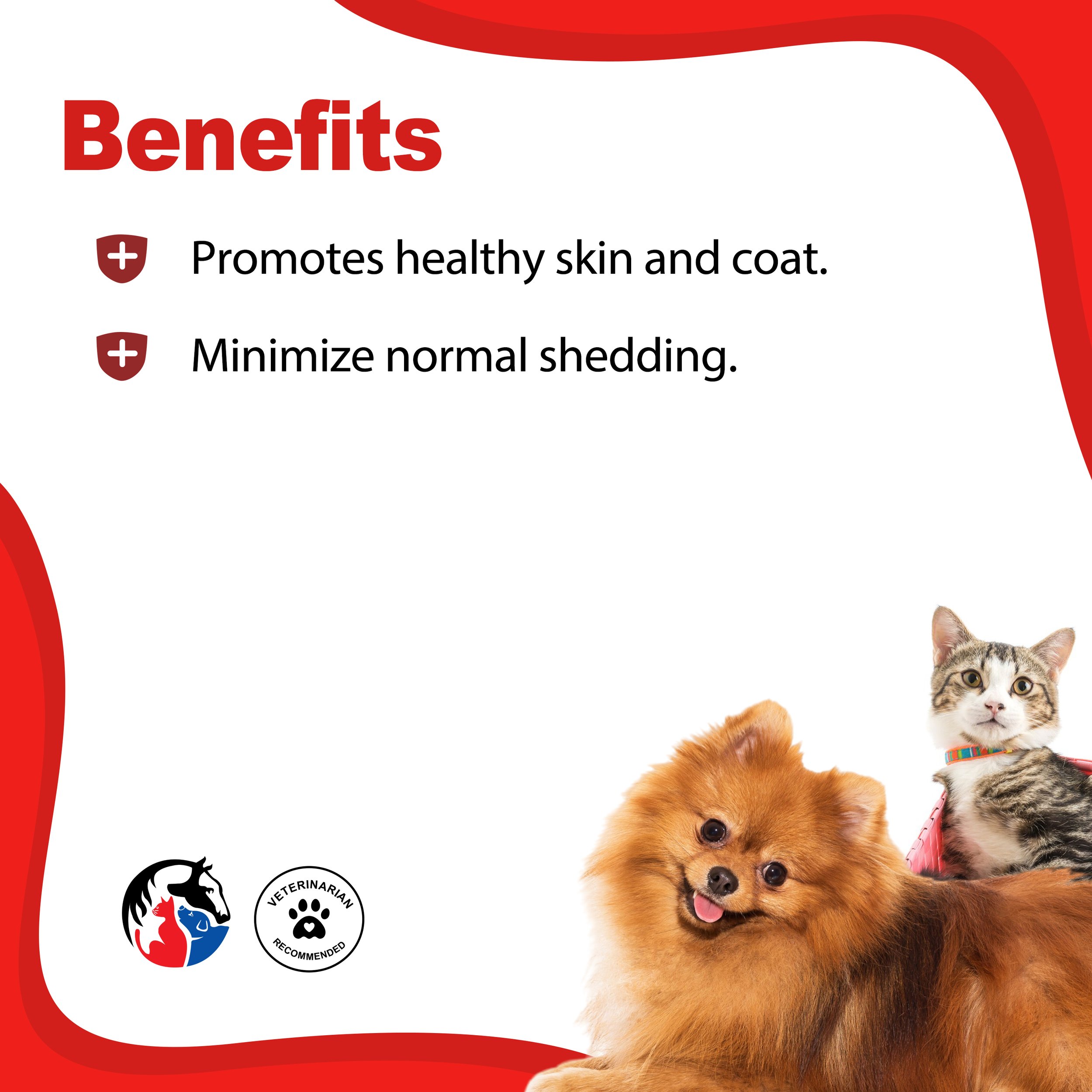 HEALTHY COAT 2.jpg