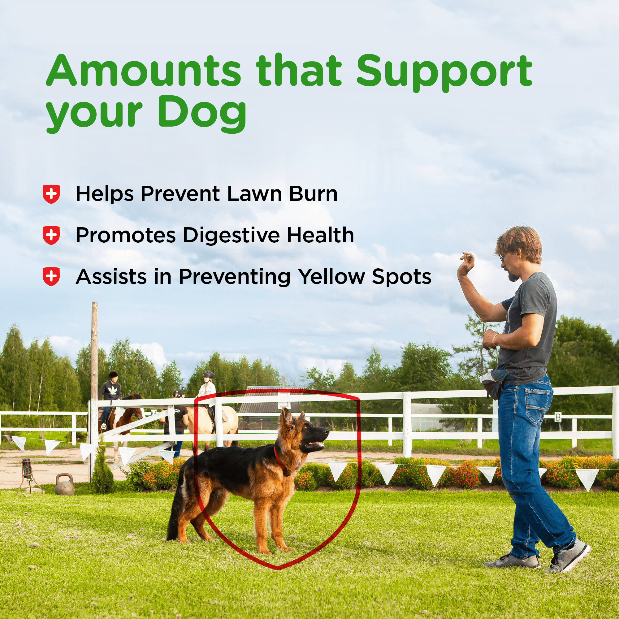 99939_NV_365ct_Grass_Guard_Max_Dogs_Alt_1.png