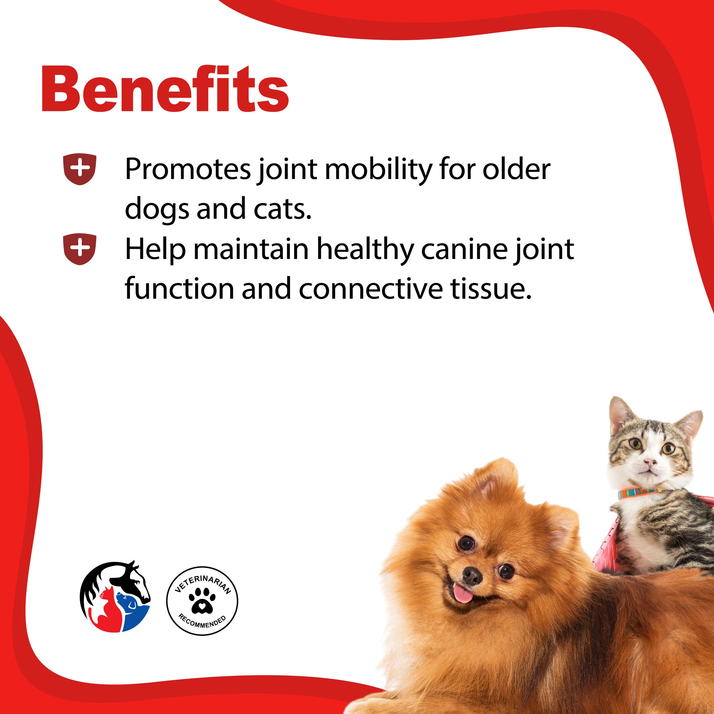GLUCOSAMINE PLUS 2.jpg