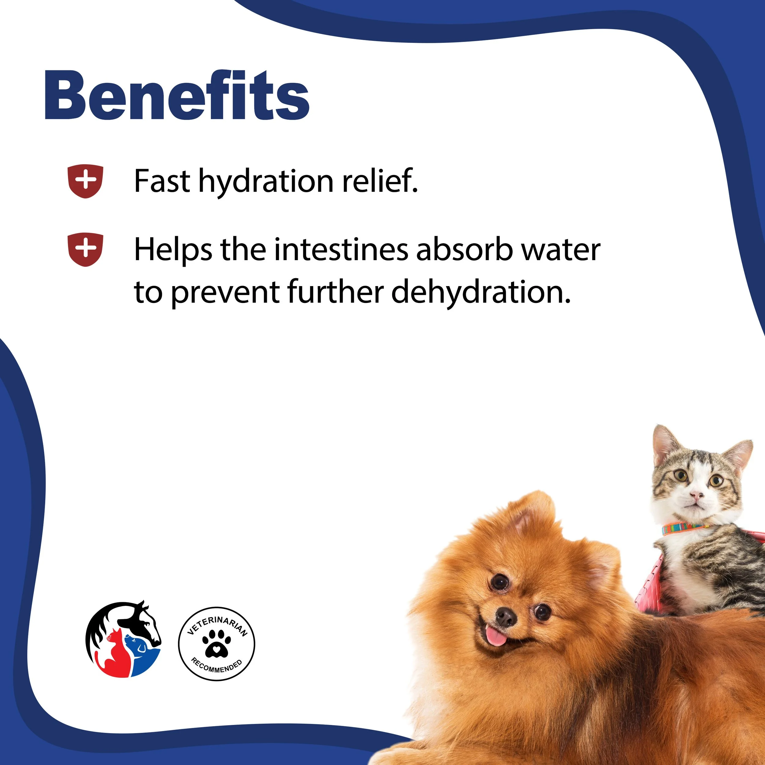 K9 HYDRATE POWDER 2.jpg