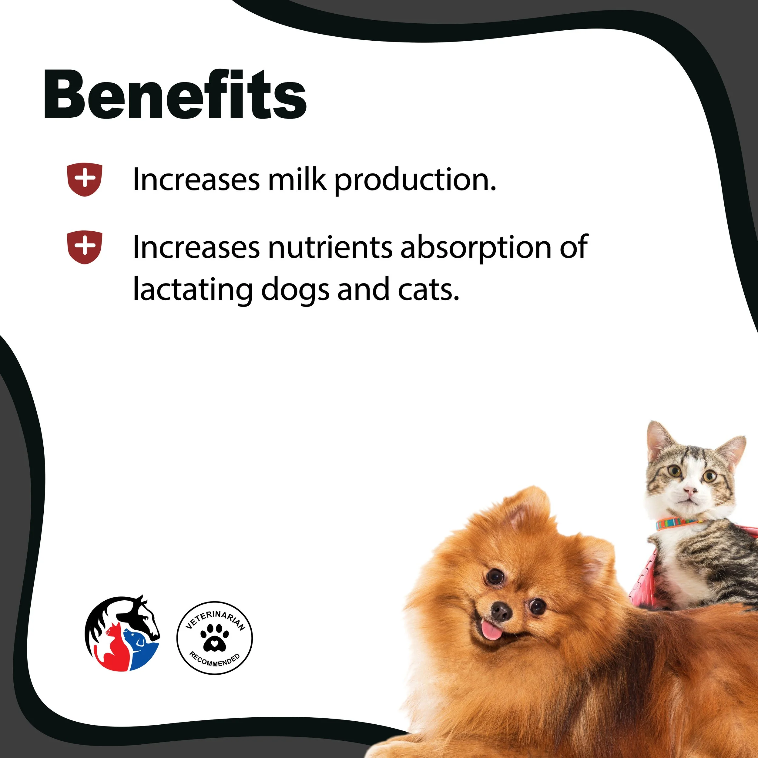 K9 LACTABOOST 2.jpg