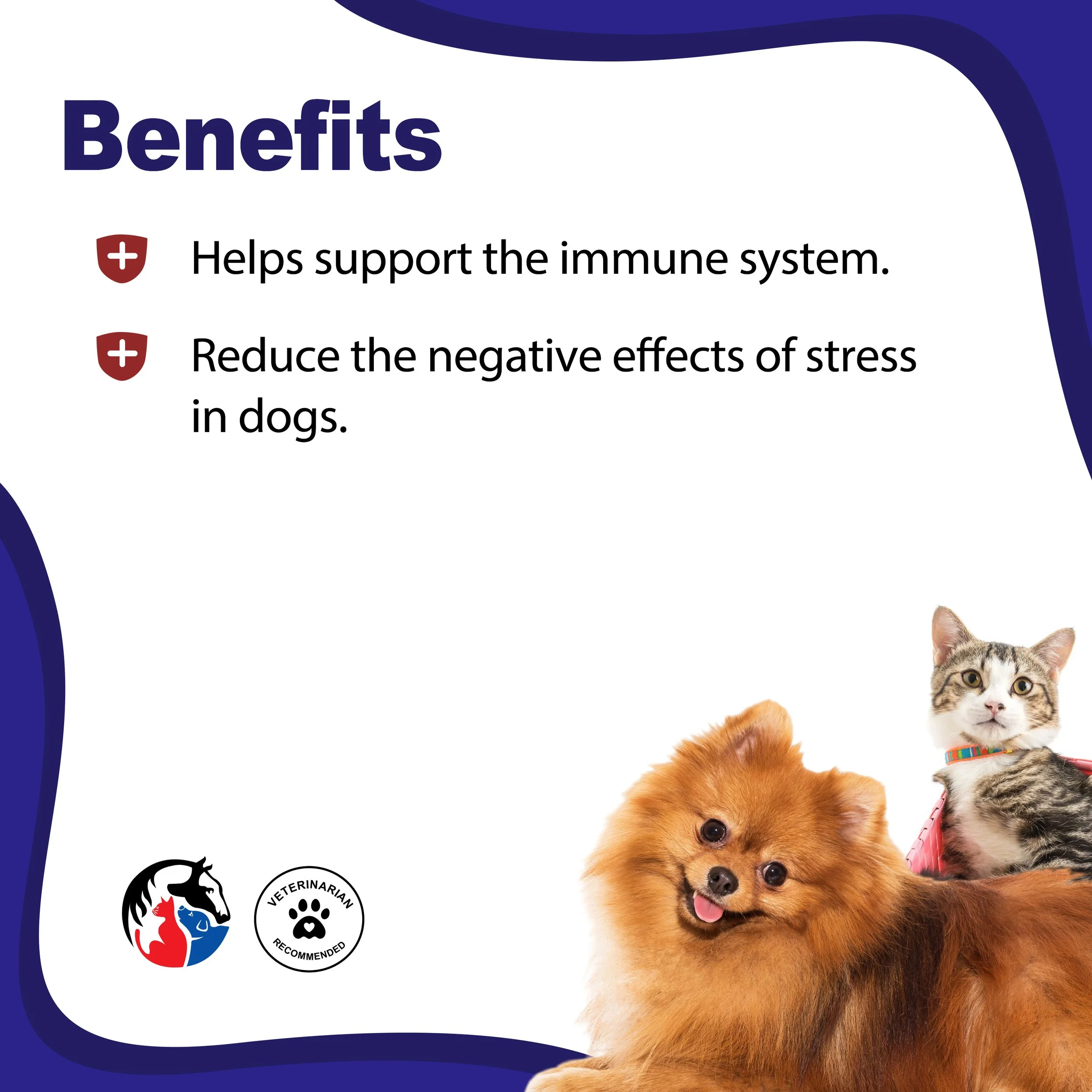 IMMUNE HEALTH 2.jpg
