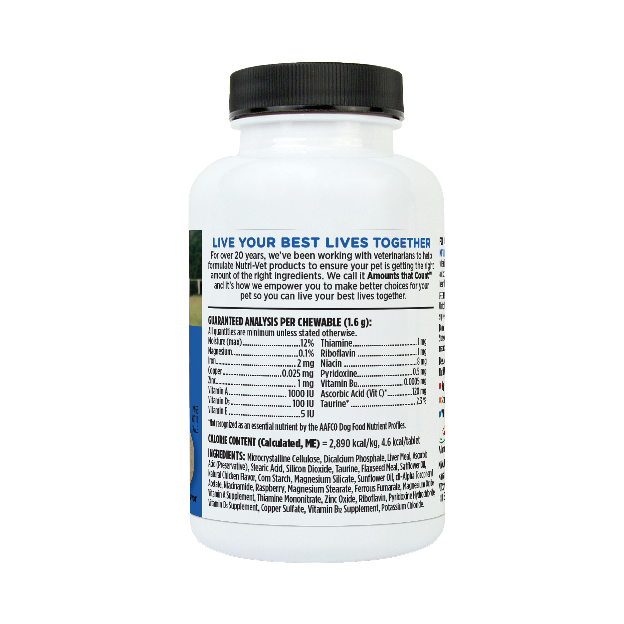 13057_NV_60ct_Puppy_Vite_Liver_Back_01.png