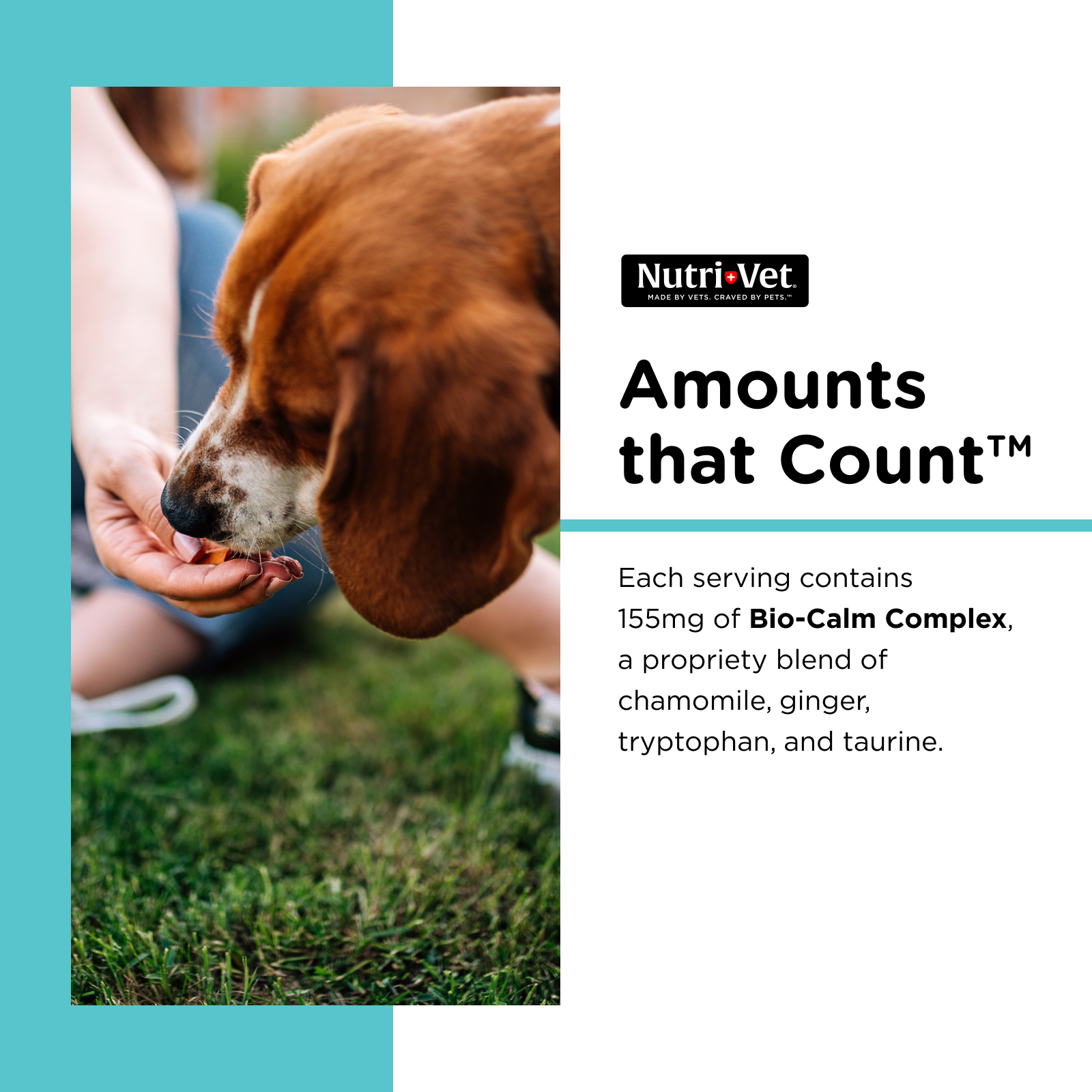 90974_NV_6oz_Pet-Ease_Soft_Chews_4.png