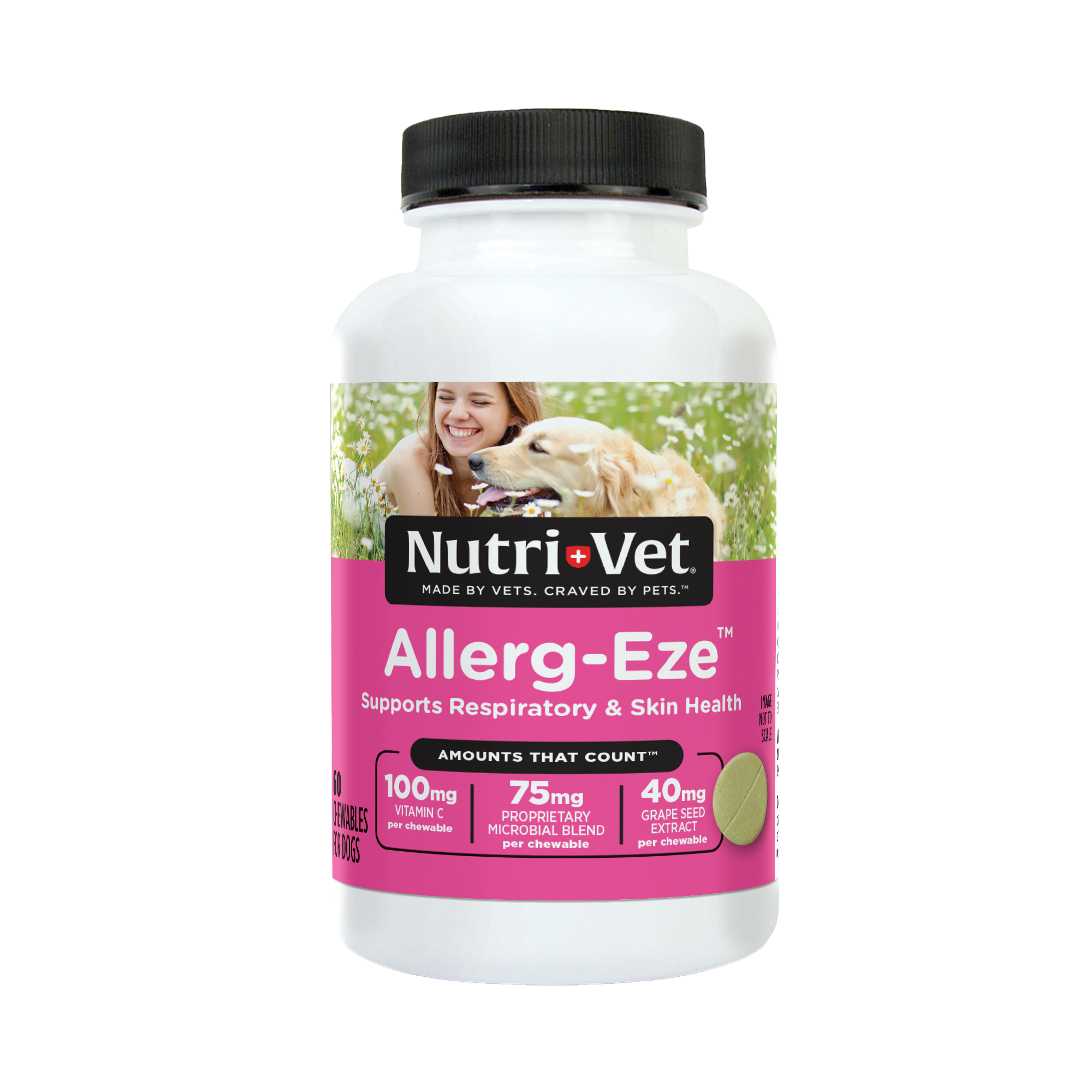 ALLERG-EZE 60CT