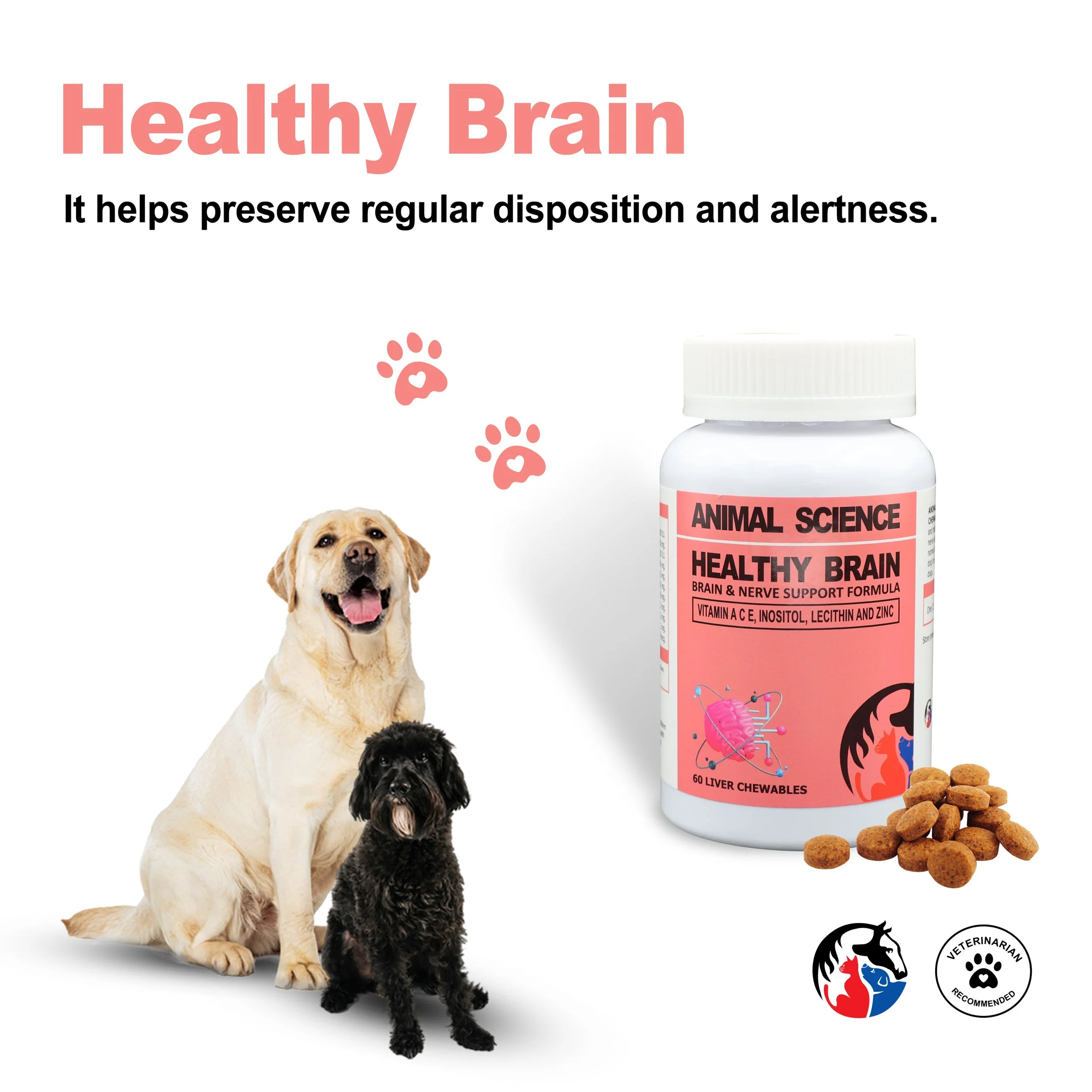 HEALTHY BRAIN 3.jpg