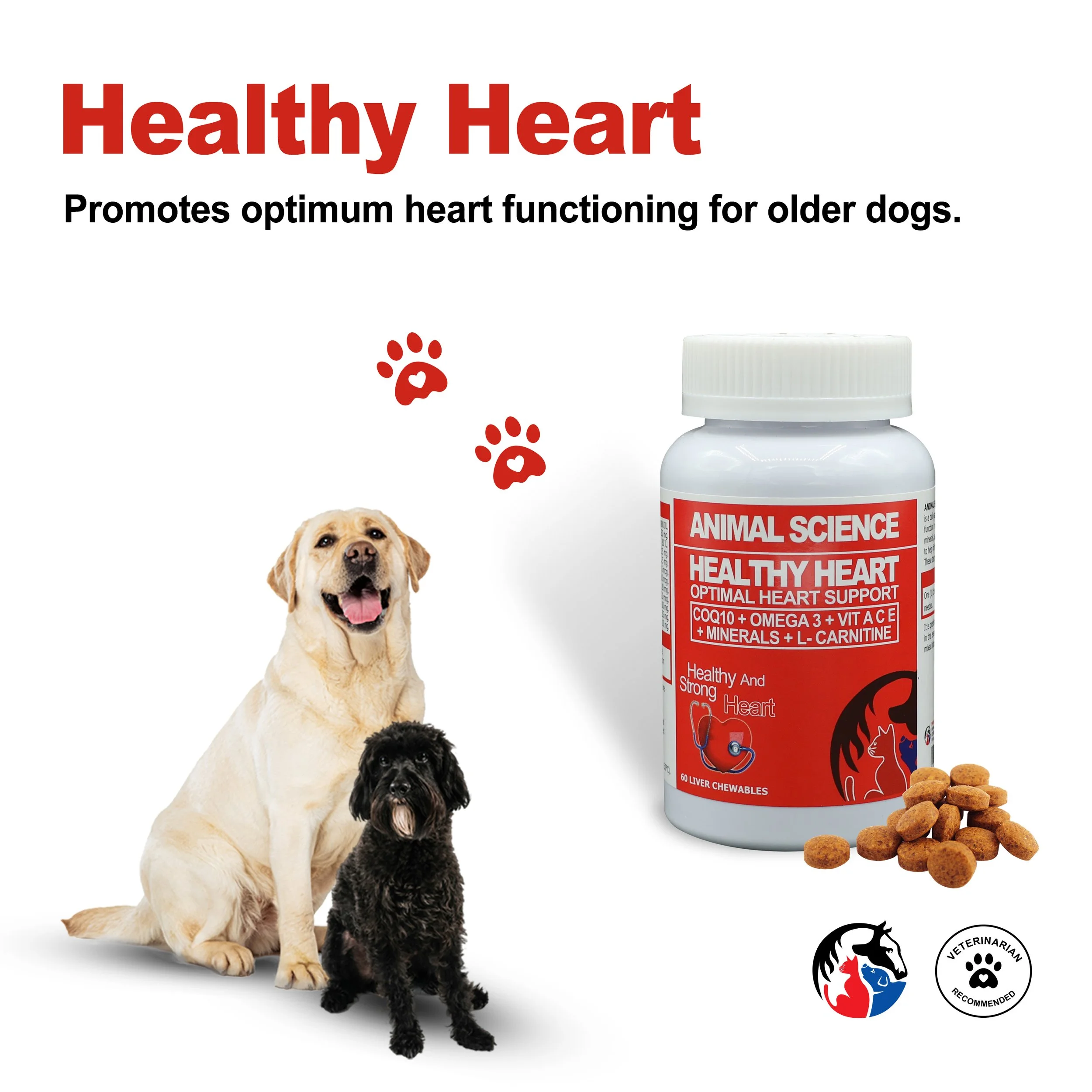 HEALTHY HEART 3.jpg