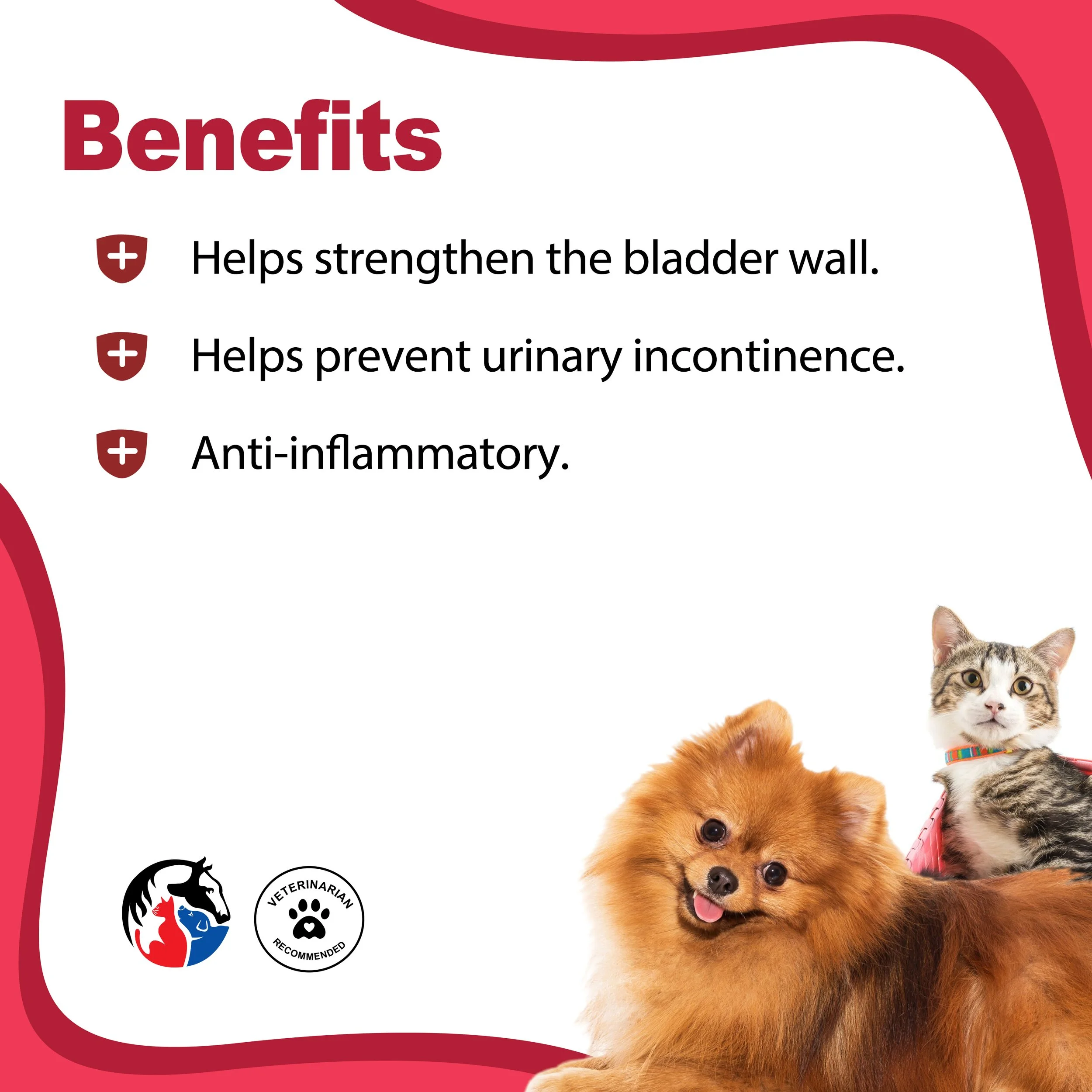 BLADDER CONTROL 2.jpg