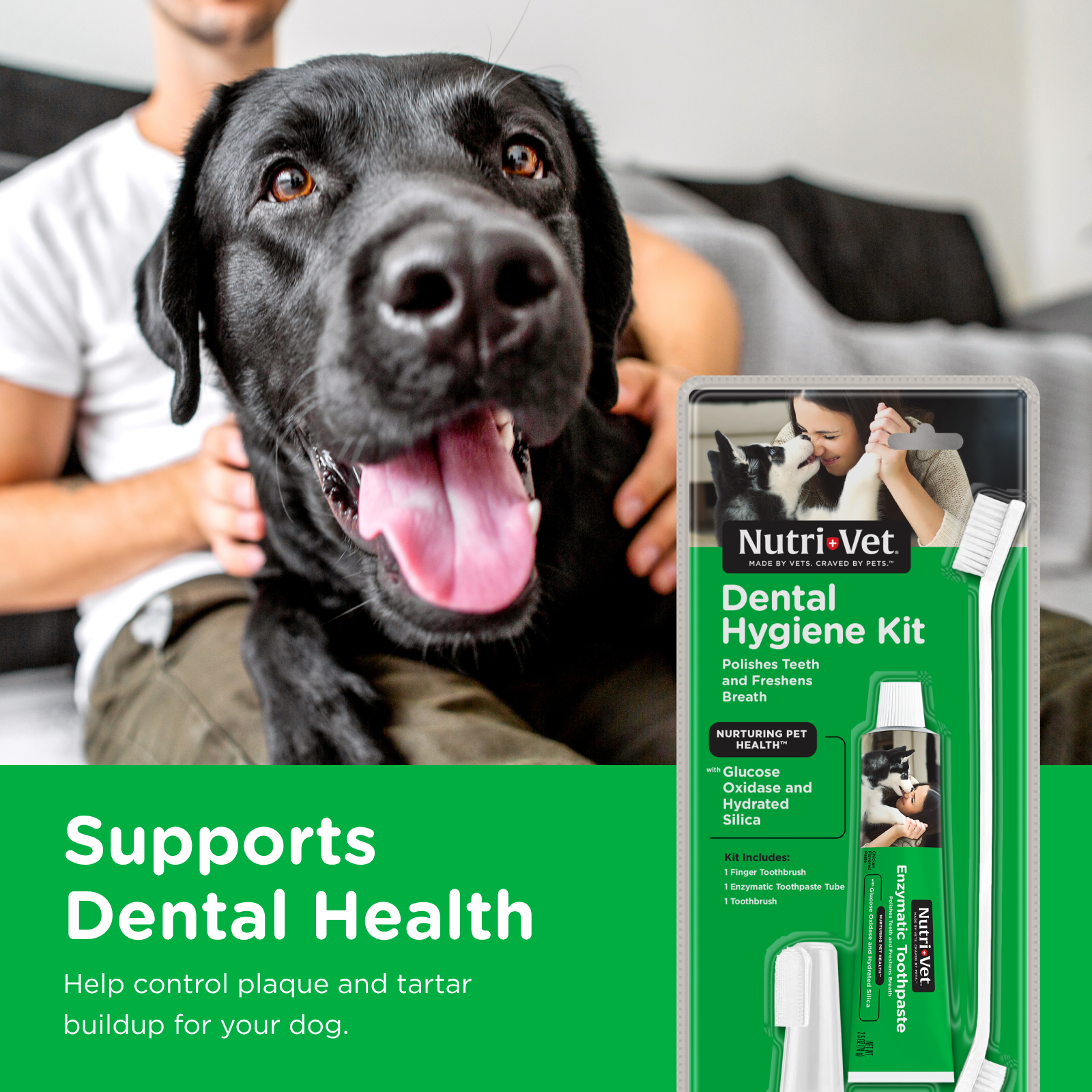 87491_NV_1ct_Dental_Hygiene_Kit_3.png