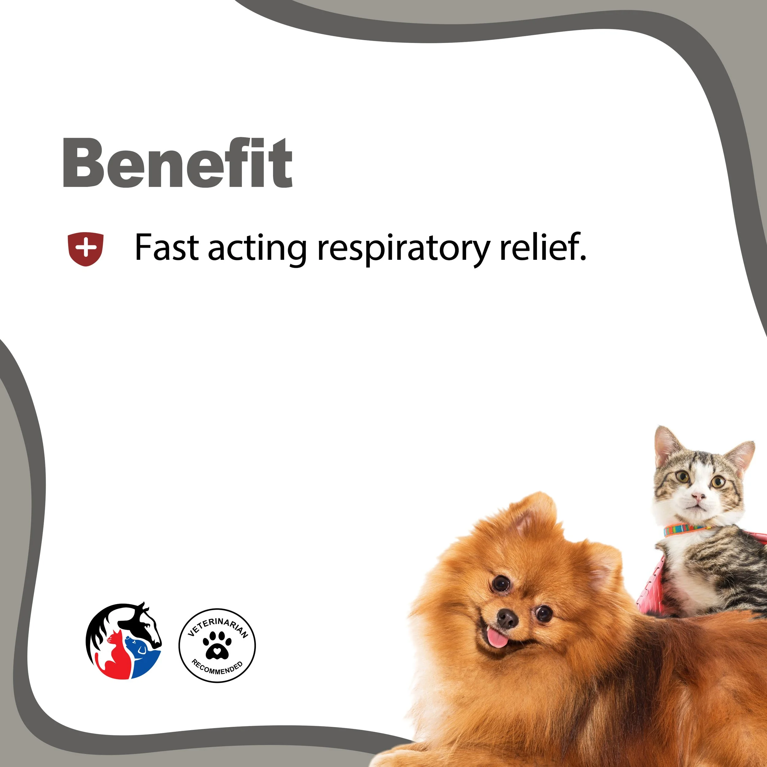 K9 RESPIRATORY ELIXIR 2.jpg