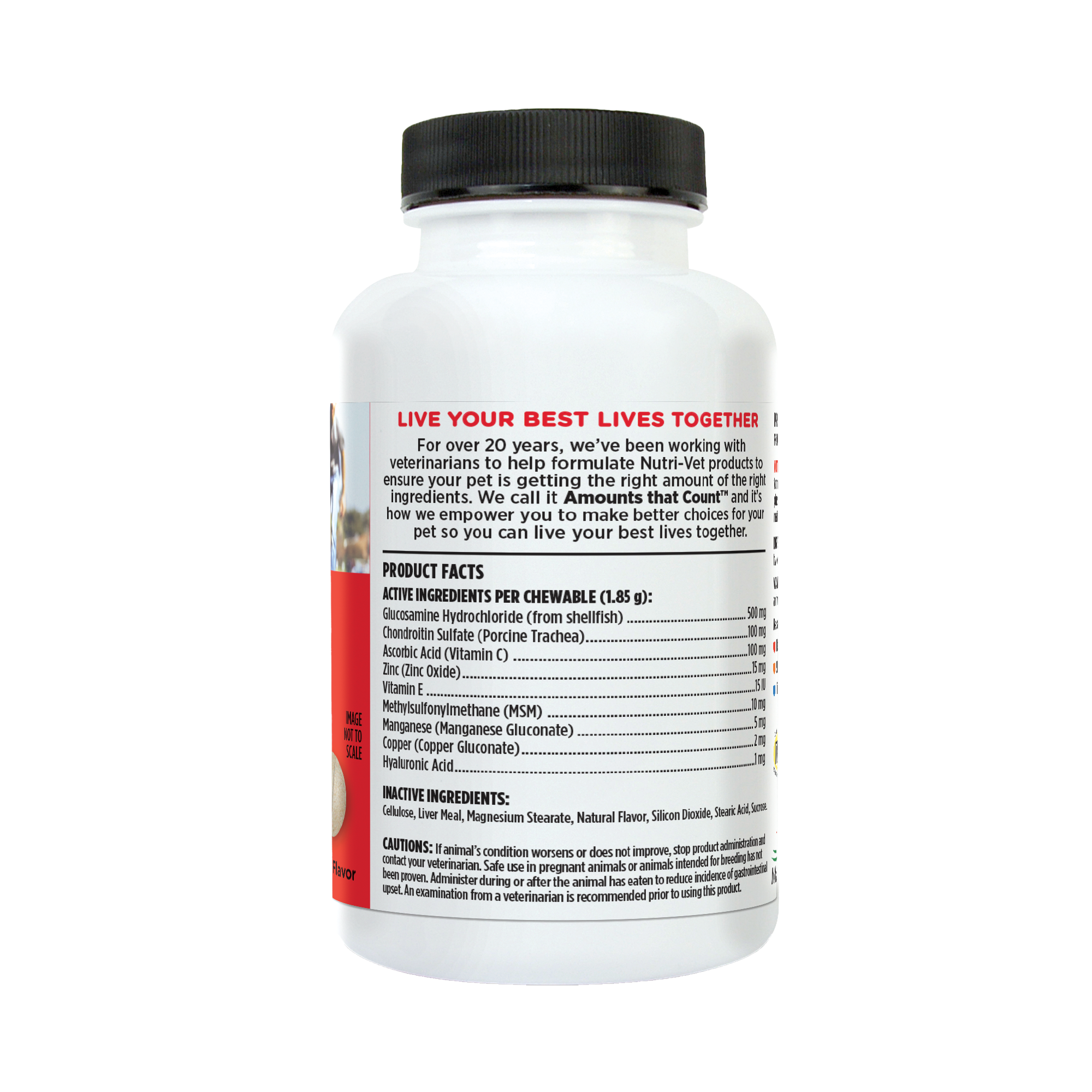 01271_NV_75ct_Hip_&_Joint_Back_01.png