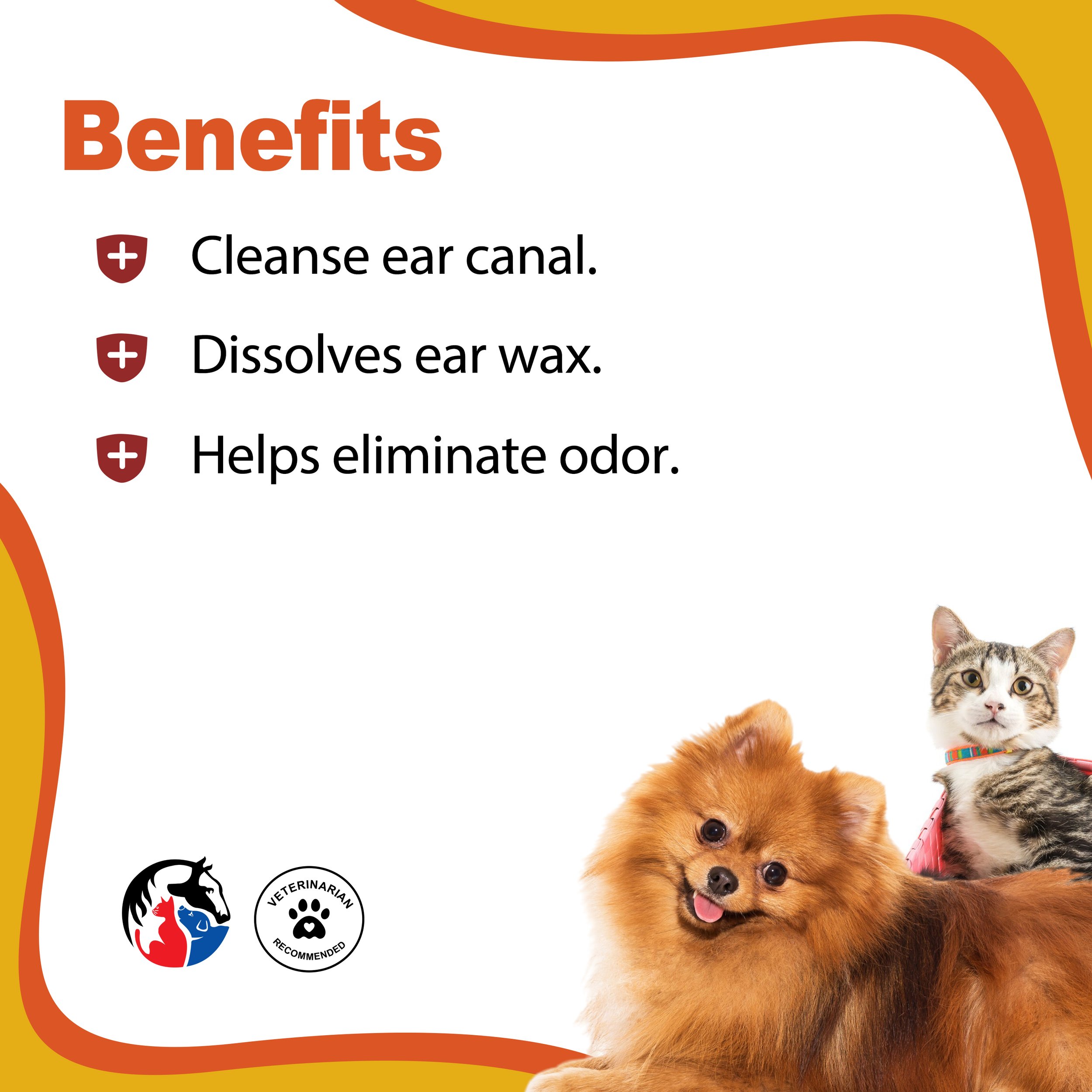 EAR CLEANSE CAT 2.jpg