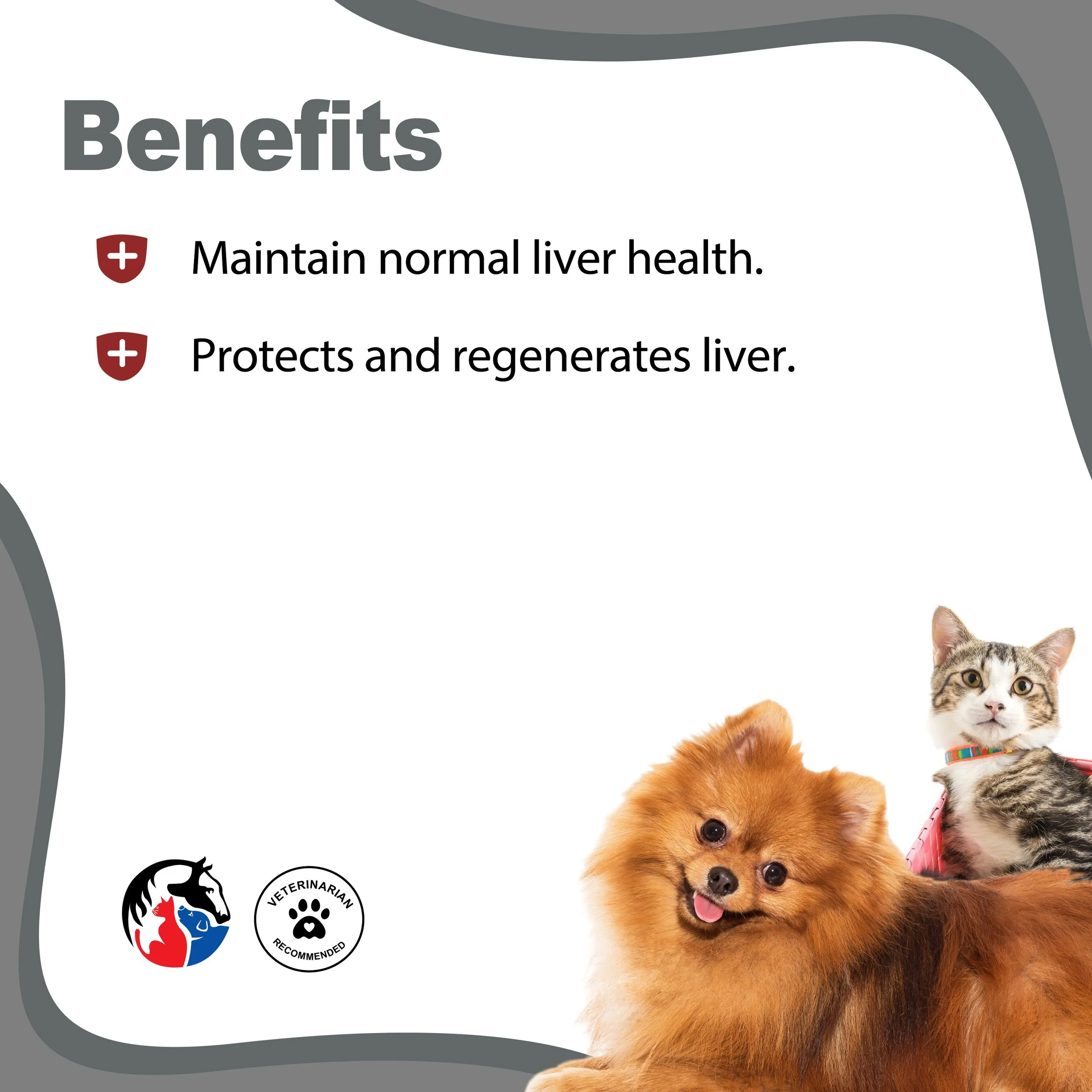 HEALTHY LIVER 2.jpg