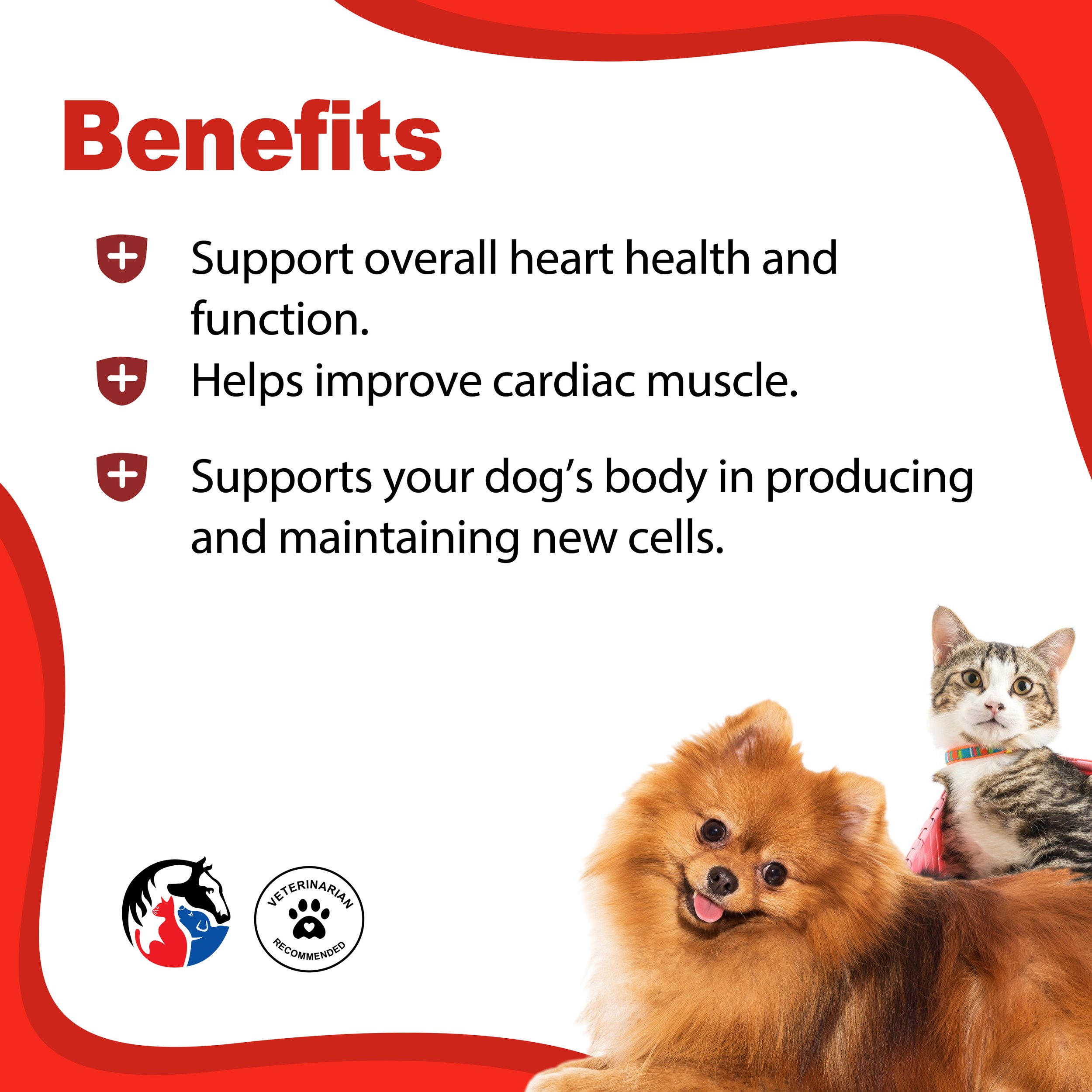 HEALTHY HEART 2.jpg