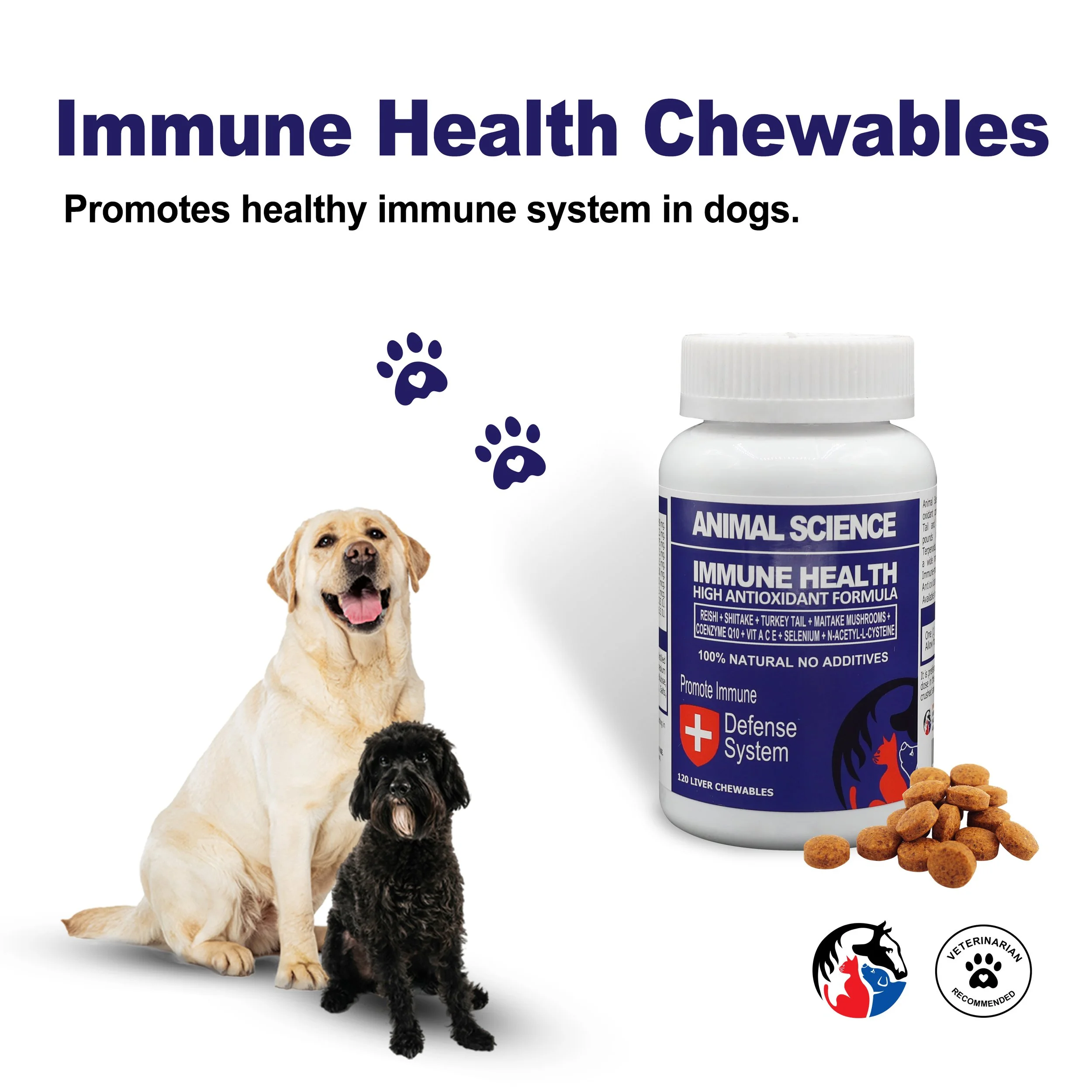 IMMUNE HEALTH 3.jpg