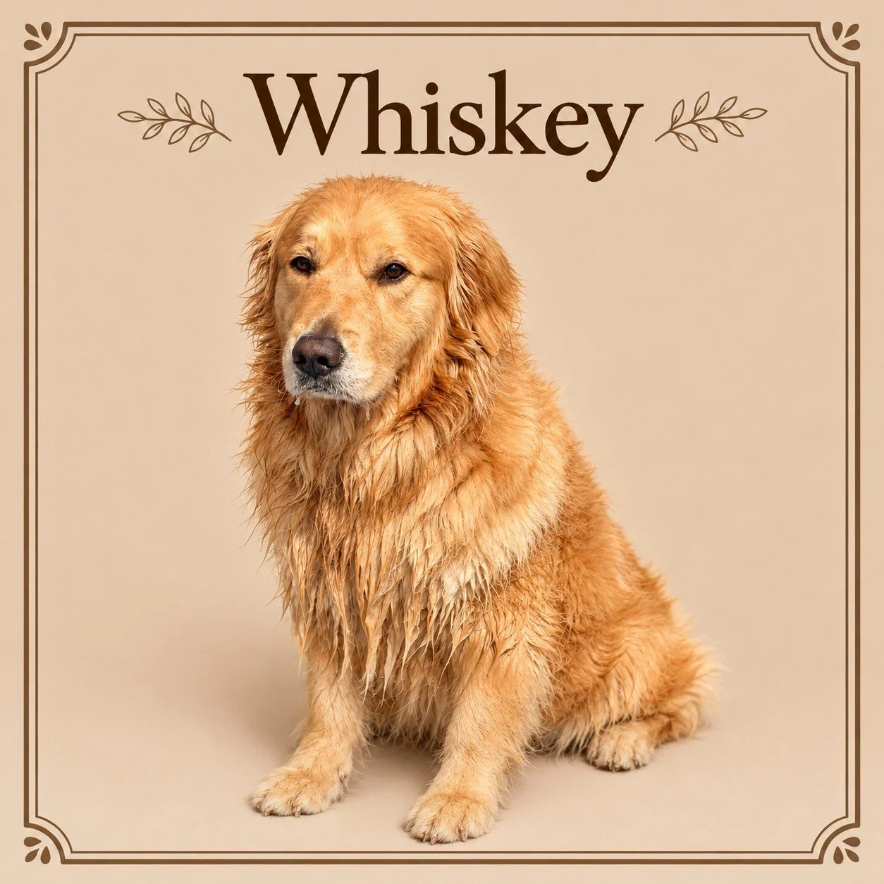 Whiskey.jpg