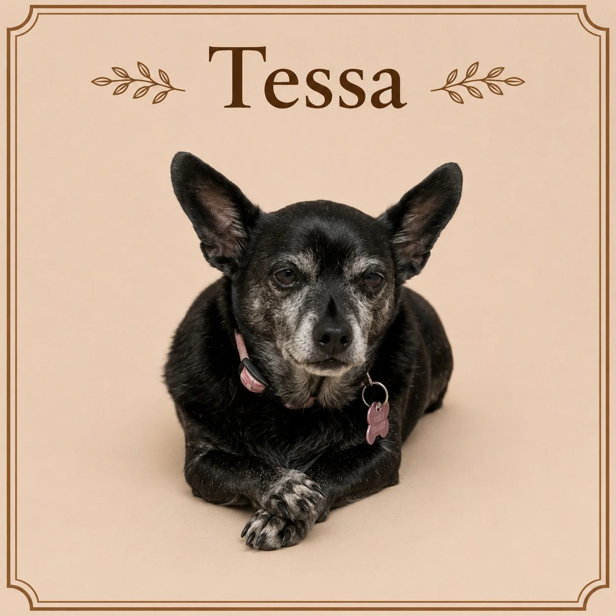 Tessa (3).jpeg