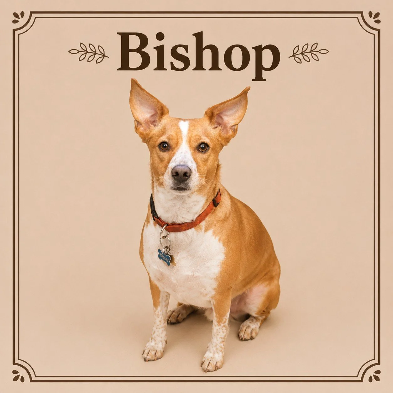 Bishop.jpeg