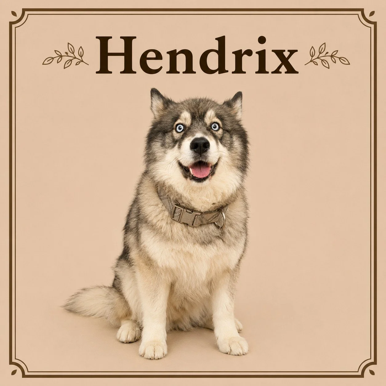 Hendrix.jpeg