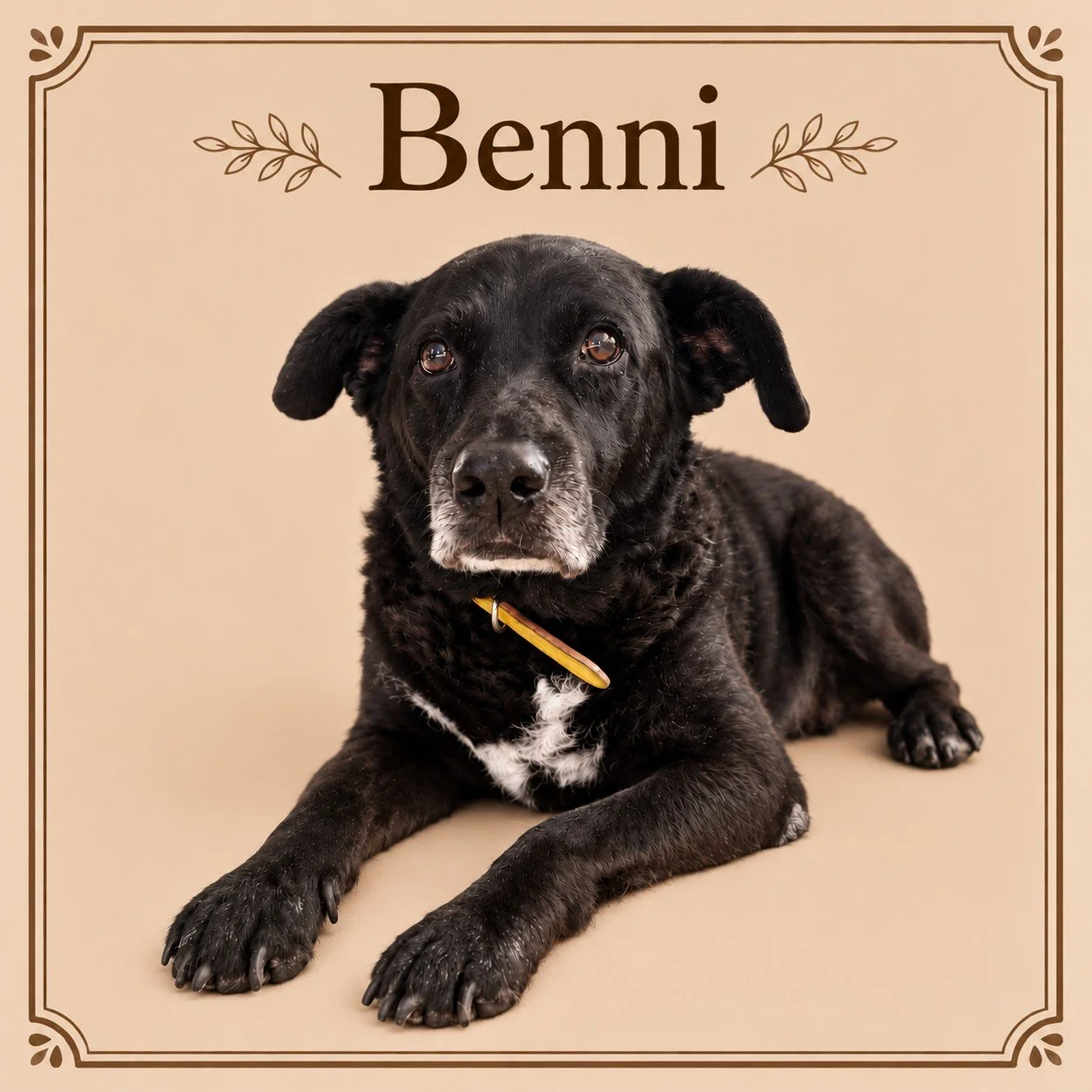 Benni.jpg