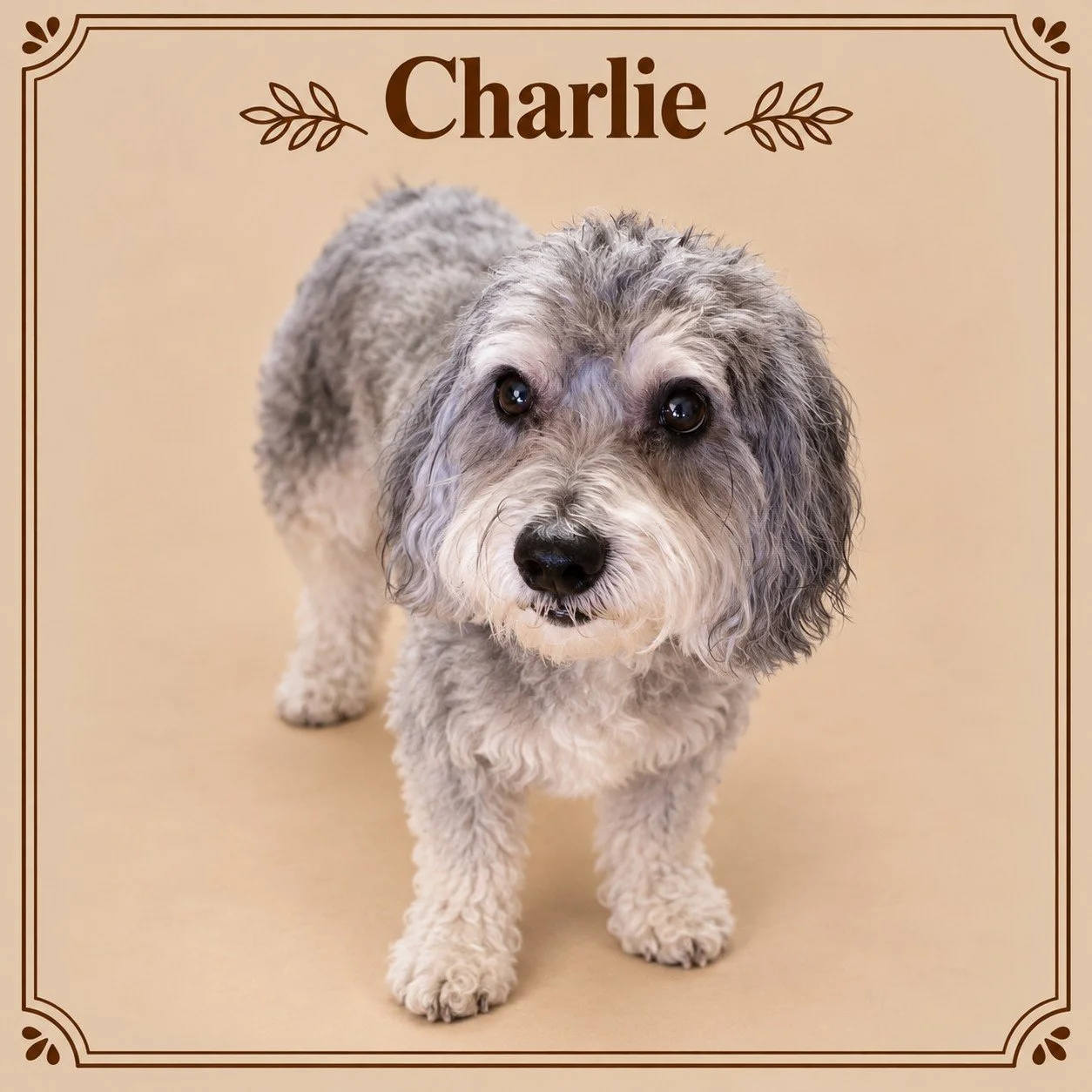 Charlie.jpg