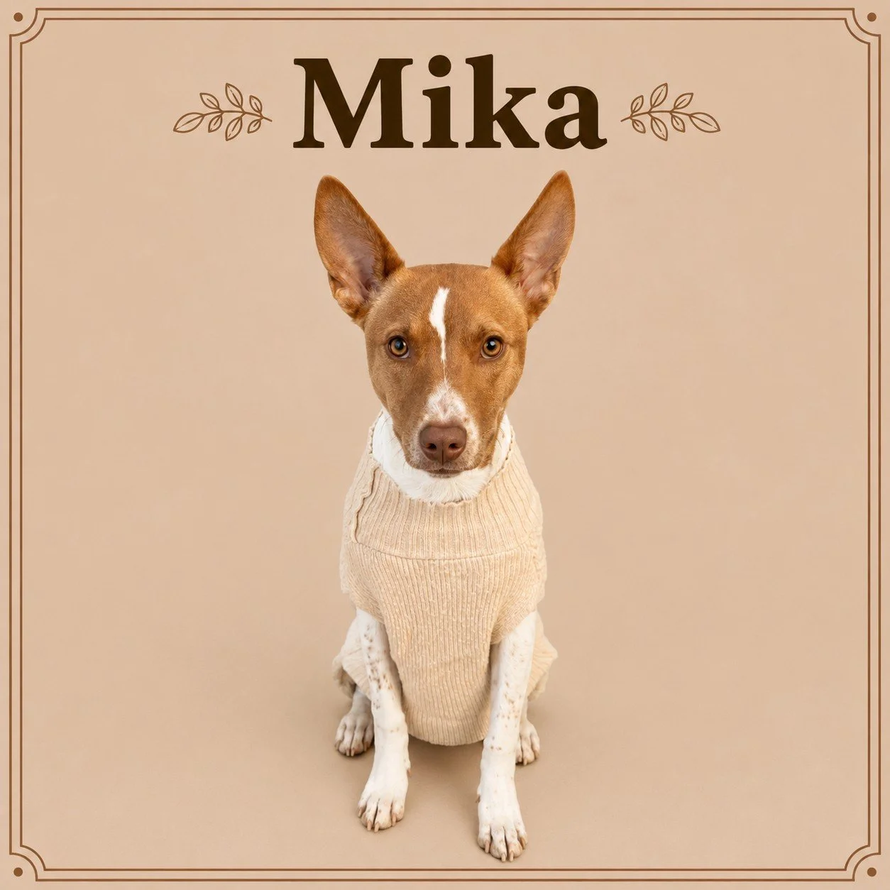 Mika.jpeg