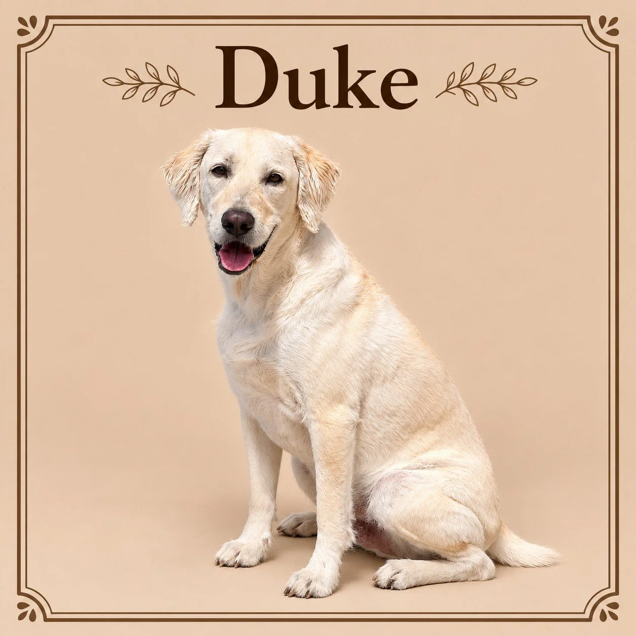 Duke 3.jpg