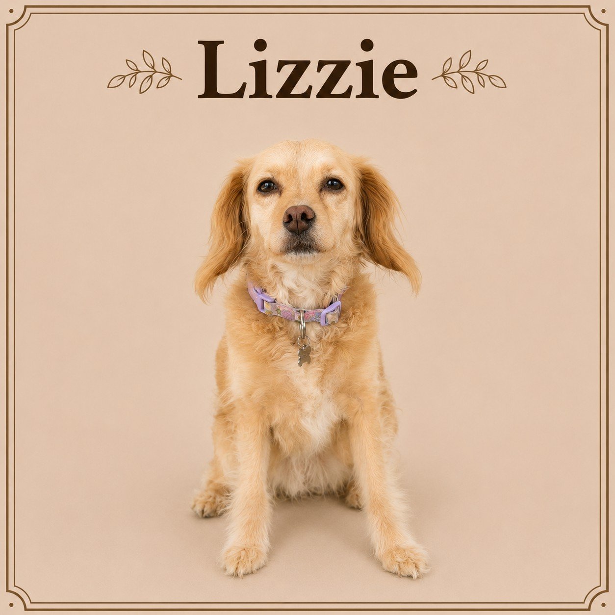 Lizzie.jpeg