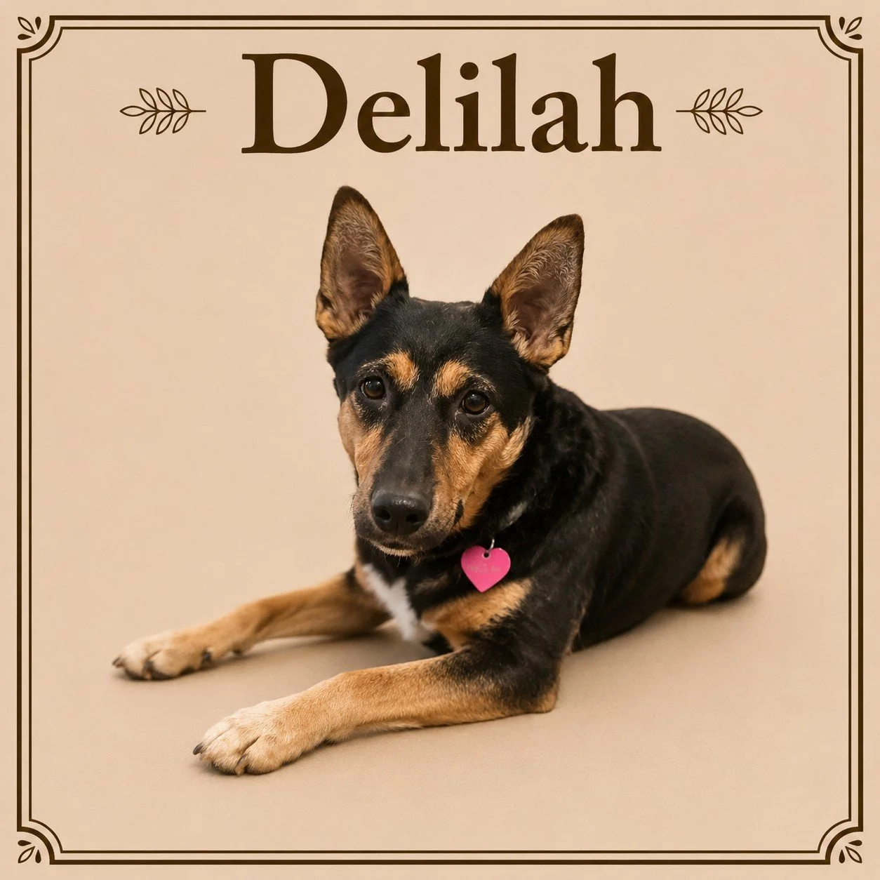 Delilah.jpeg