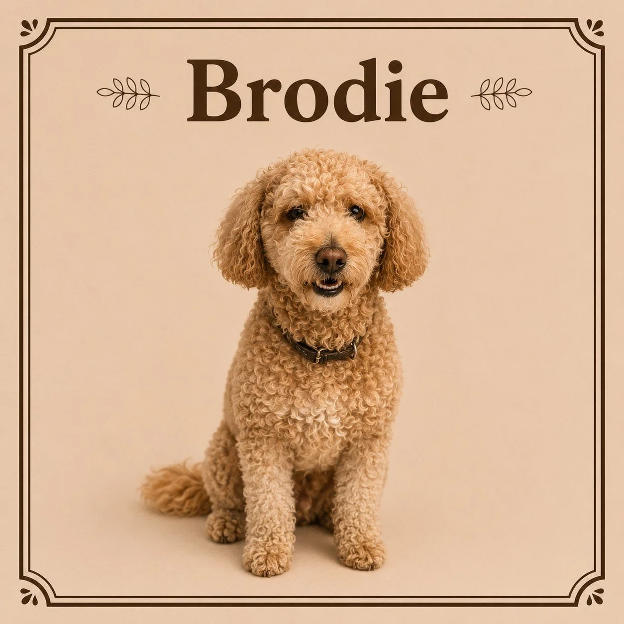 Brodie.jpeg